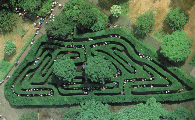 The Maze: the most famous part of The Wilderness...into which legions of schoolchildren attempt to disappear, on almost every day of the year.