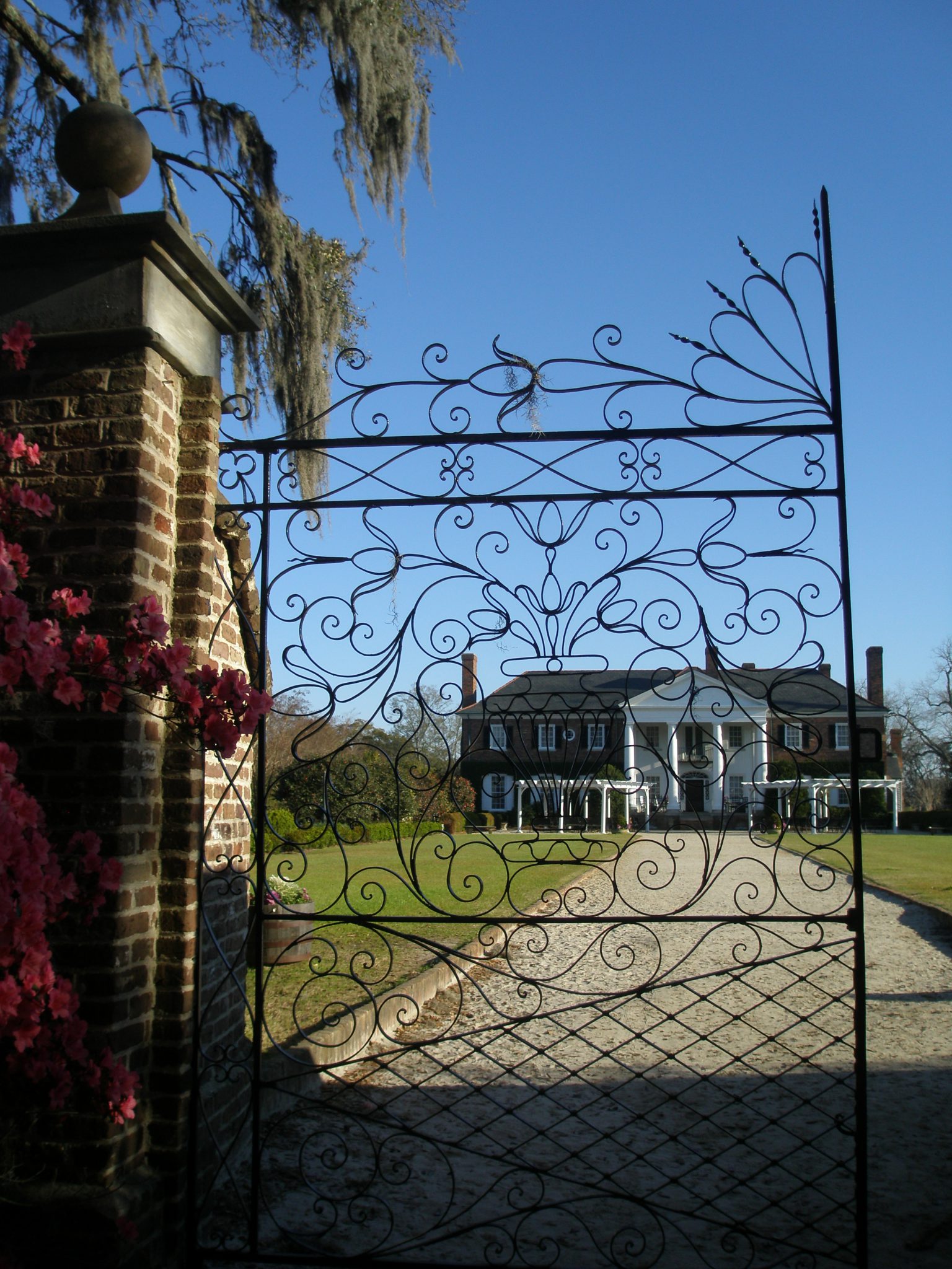 Wrought Iron front gate