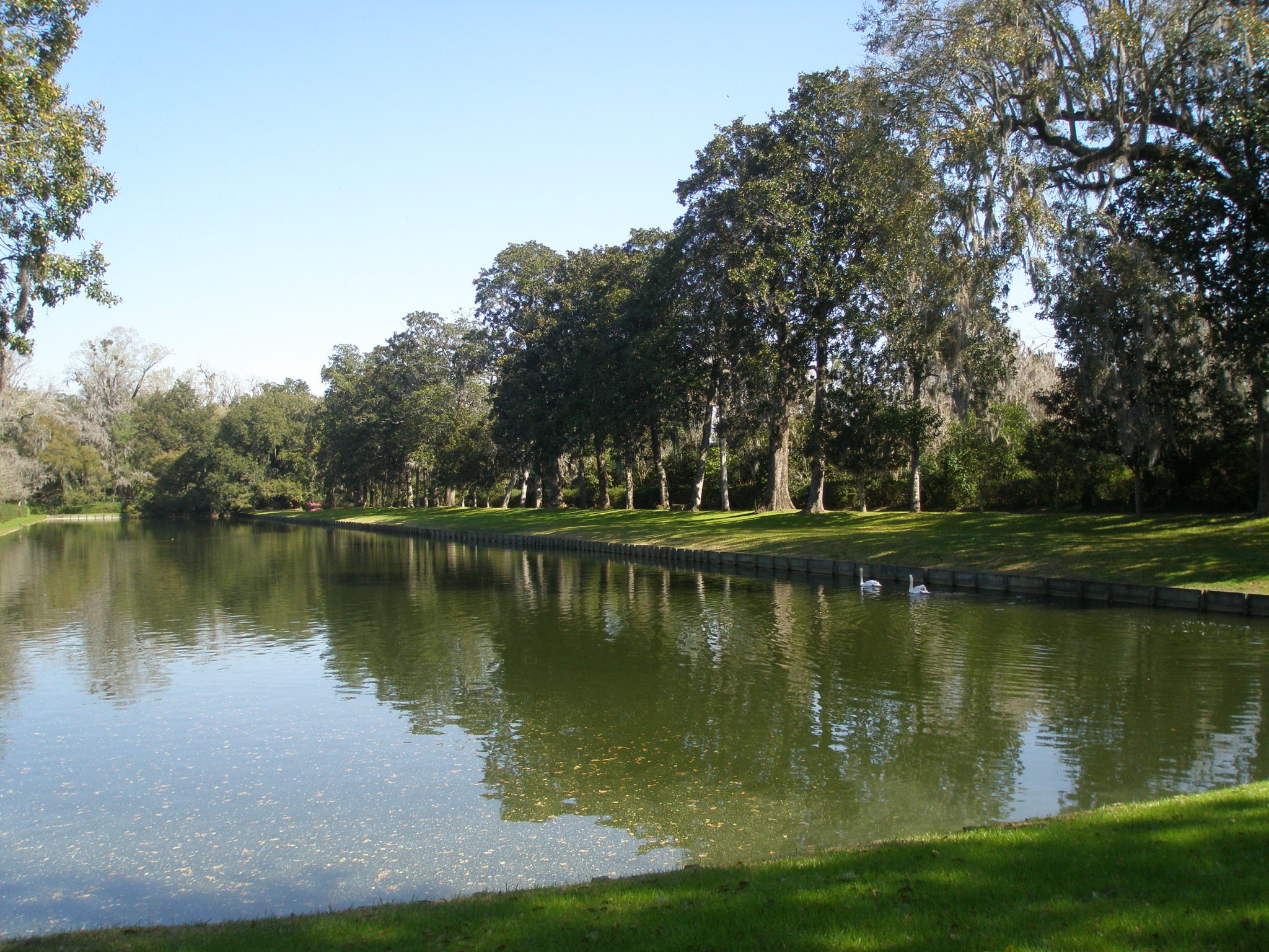 The huge, rectangular Reflection Pool, enclosed by precisely-positioned Southern Magnolias.