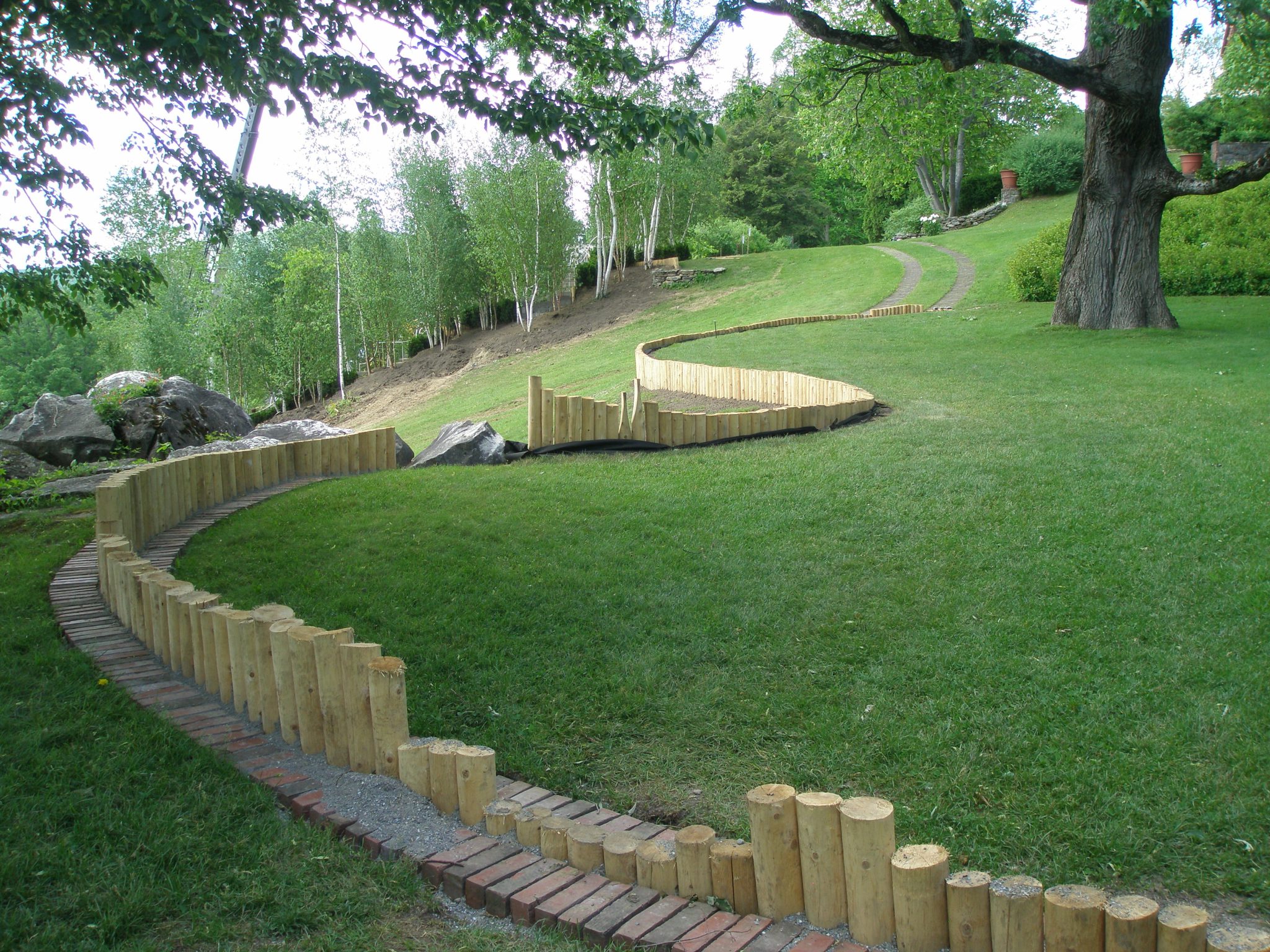 View from Oak Lawn up toward the newly-planted birch trees of the Blue Steps