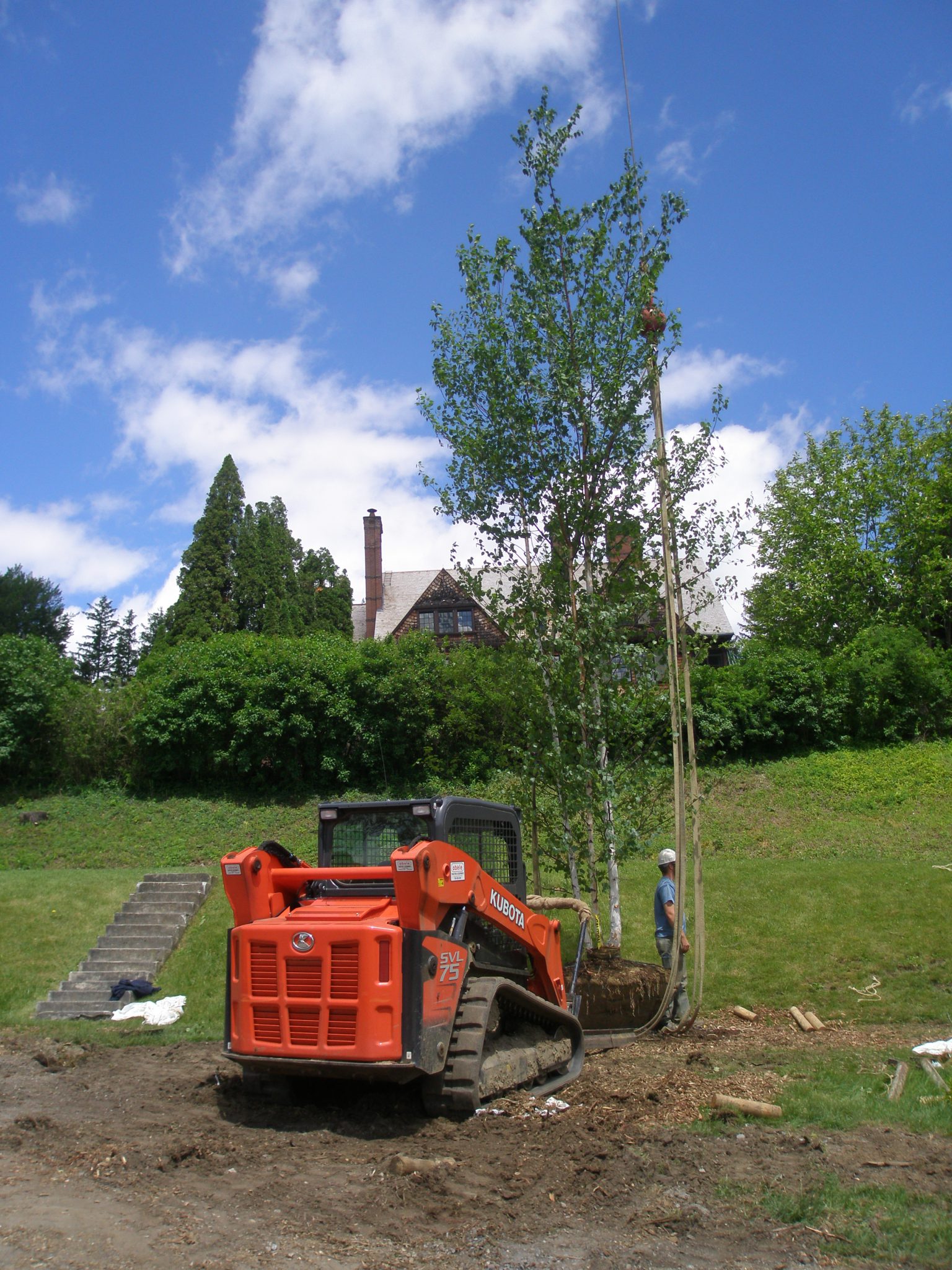 All of the old birch trees surrounding the Blue Steps have been removed, and on June 4th, the final batch of new trees were being hoisted into place.