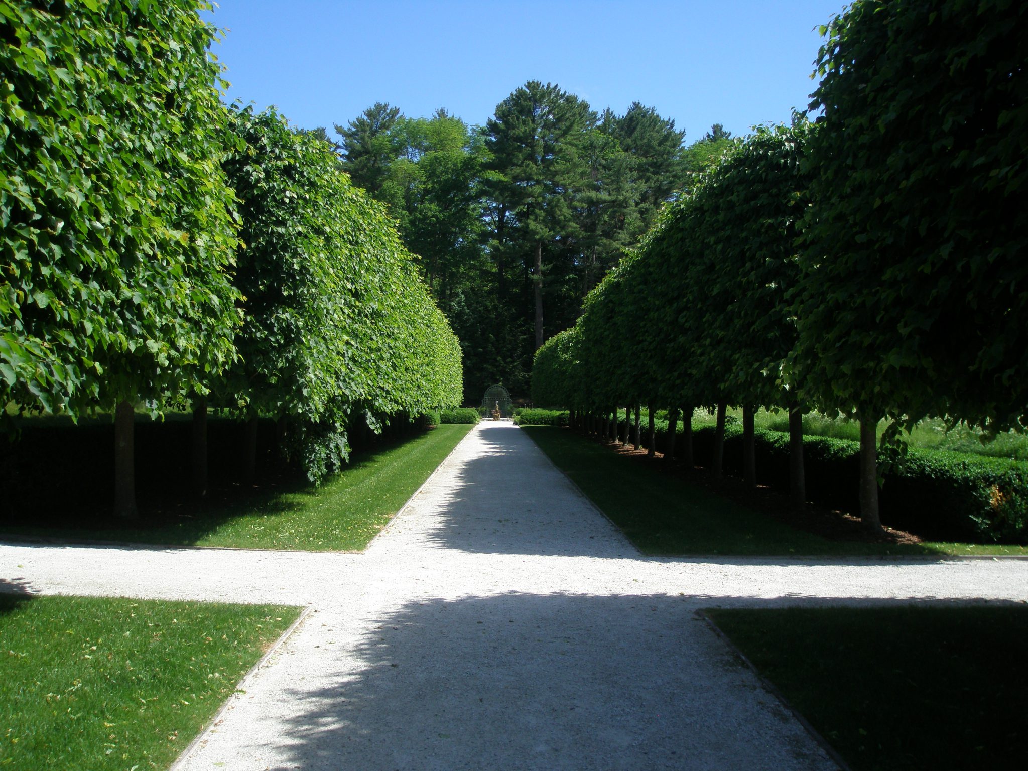The Lime Walk, so-named for its Linden Trees. In England, Linden Trees are known a Lime Trees.