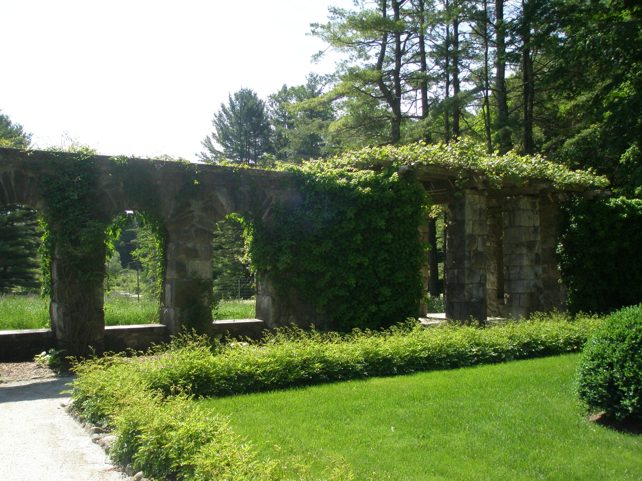 Rustic Pergola in the Walled Garden