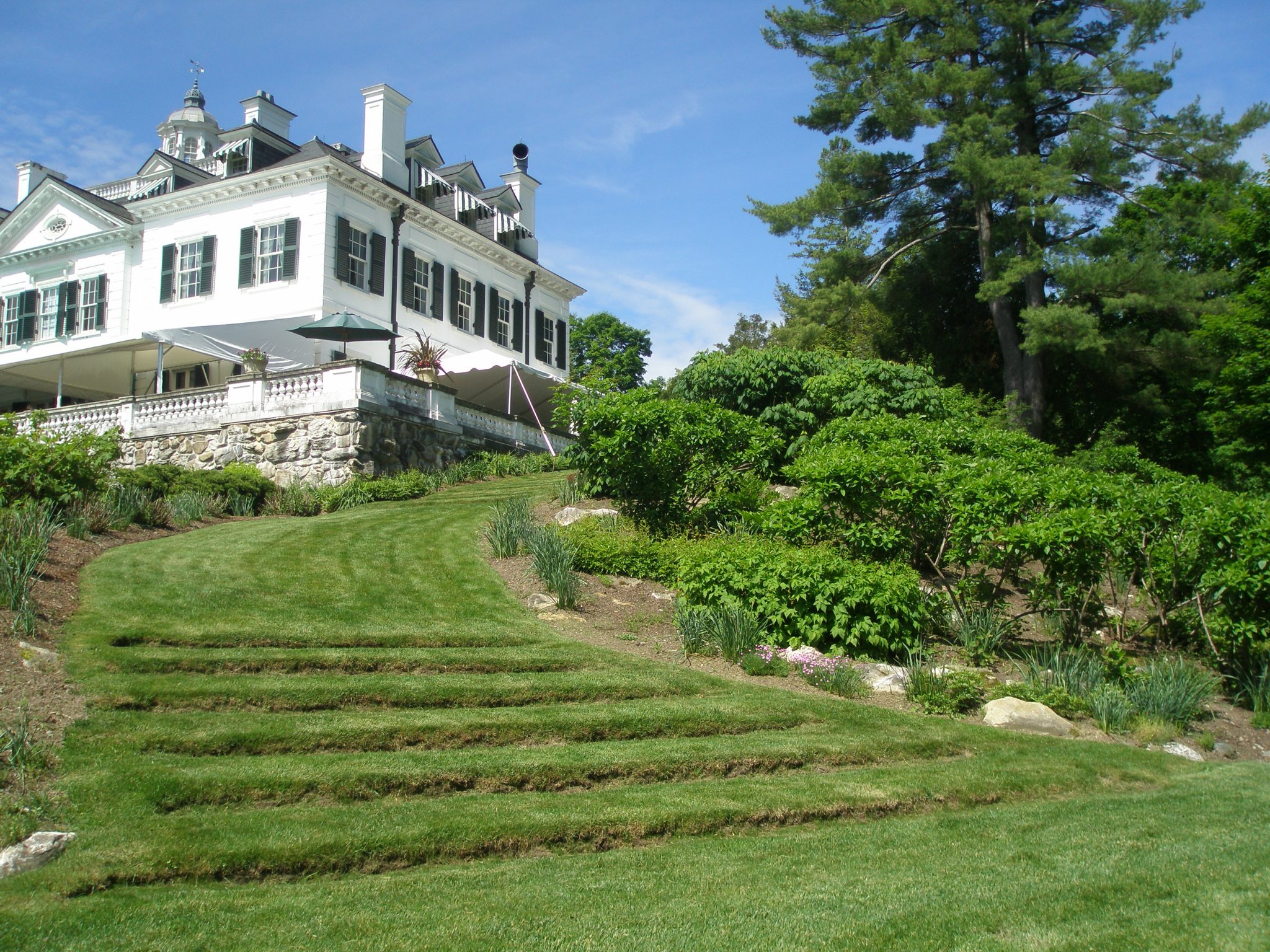 Grass Steps in Rock Garden