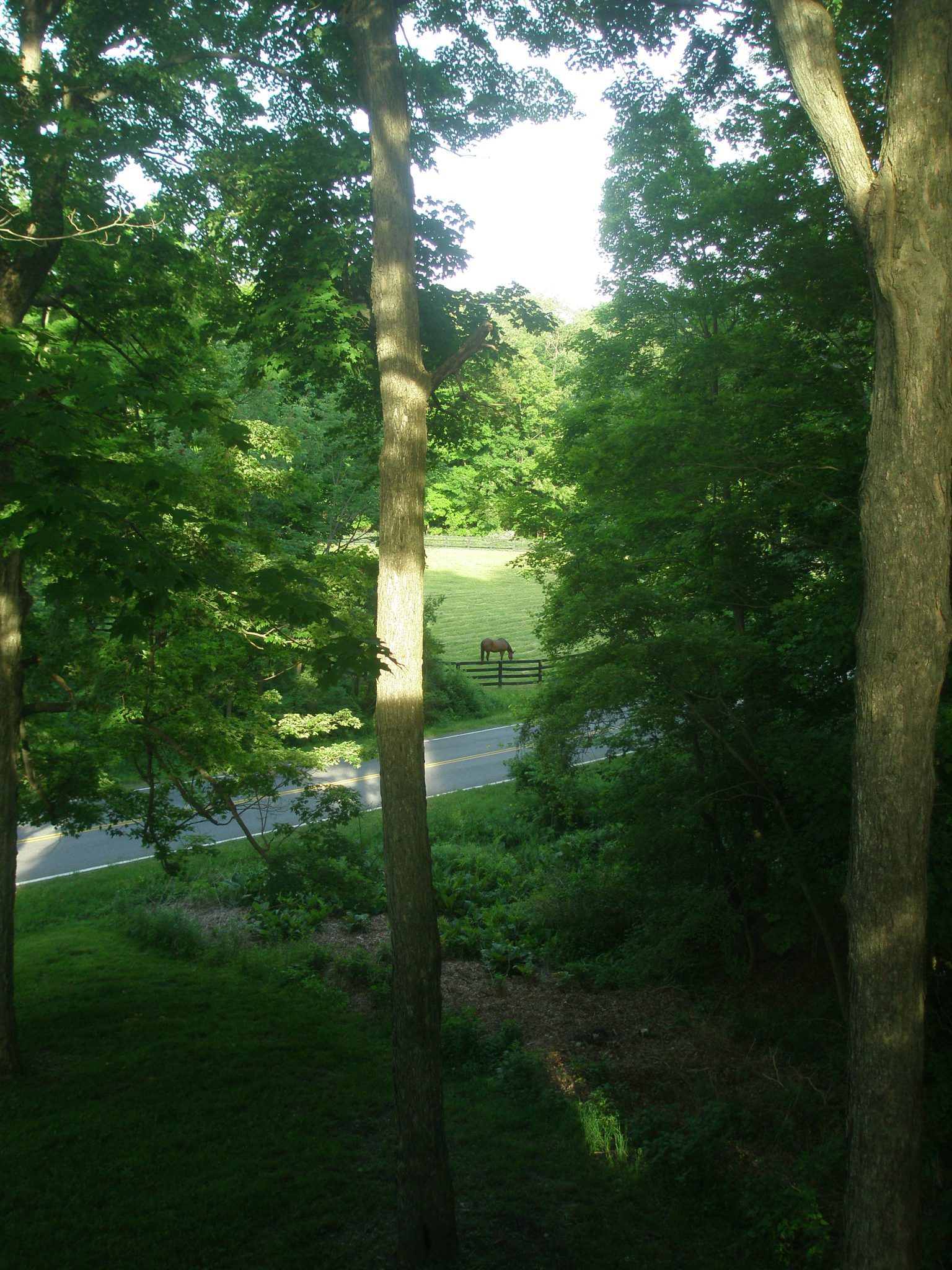 The view from my room at The Millbrook Inn on the morning of June 5, 2013