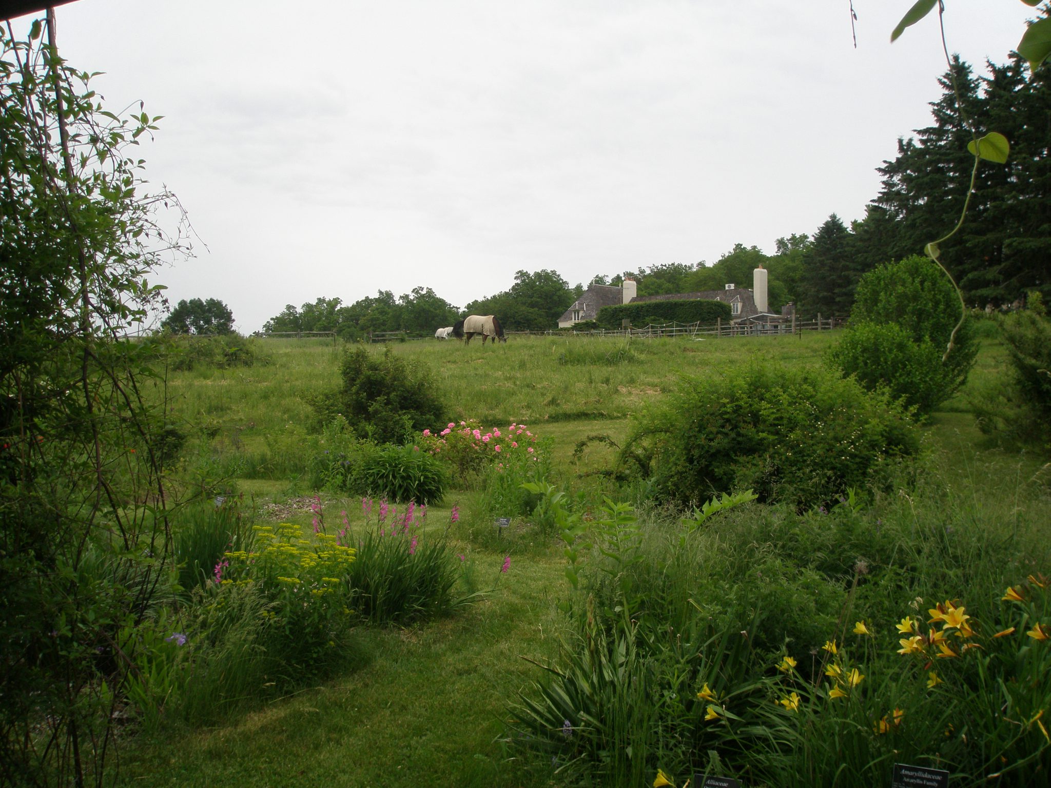 View up toward the Main House, from the Pasture