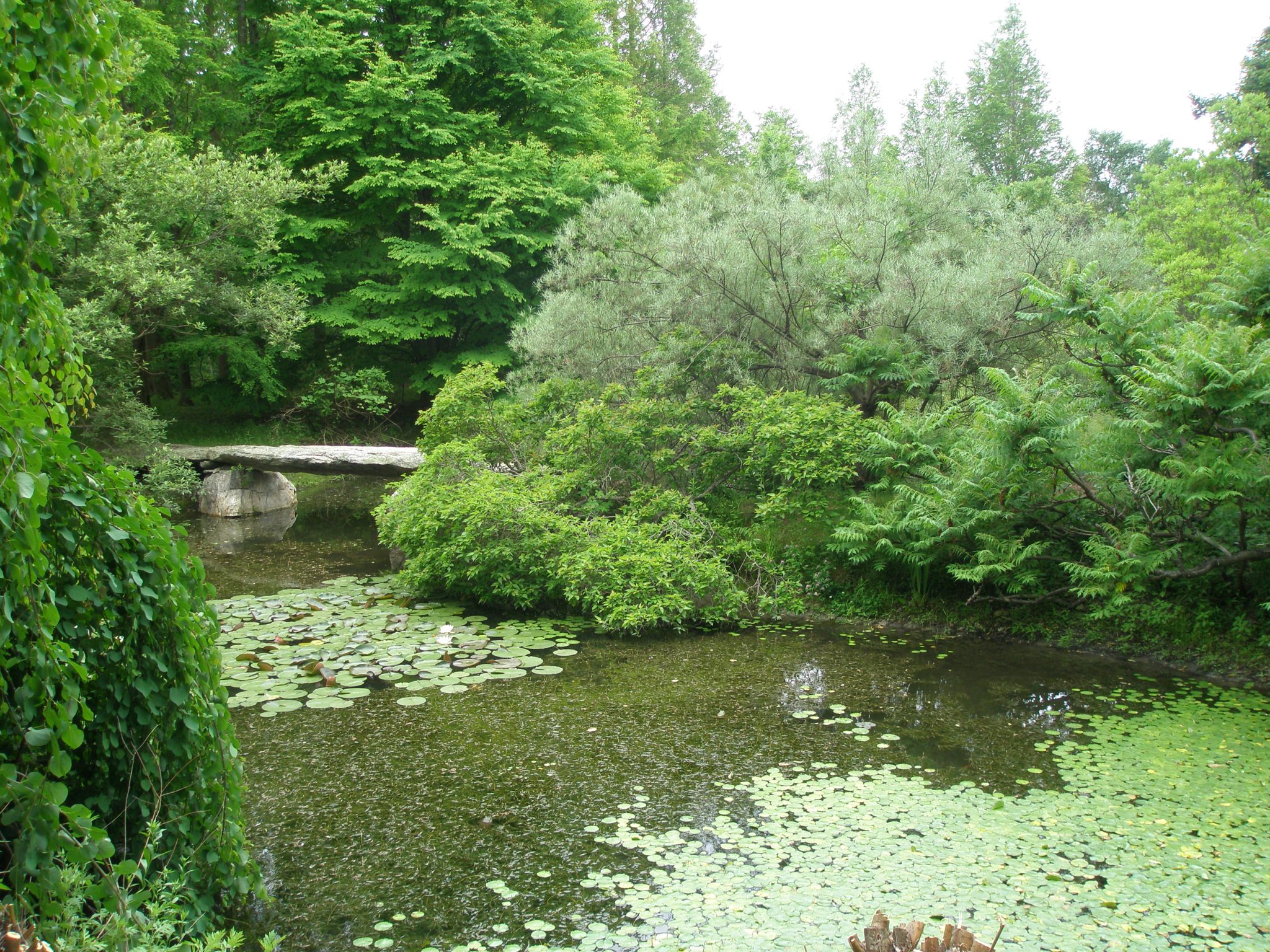 A Giant Flint Stone forms a Footbridge across the Lake