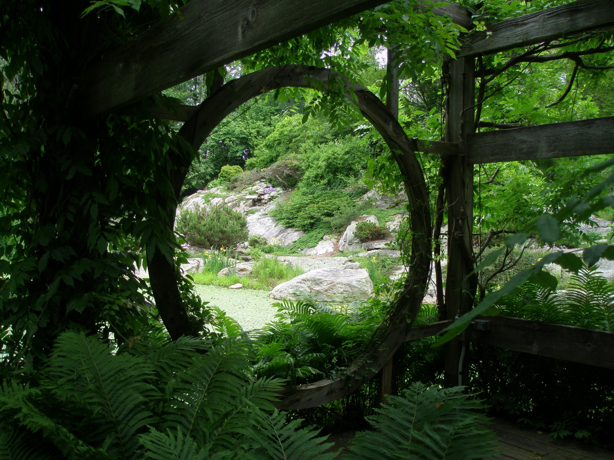 View of the Lake and Rock Ledge Garden, from inside the Wisteria Pavilion.