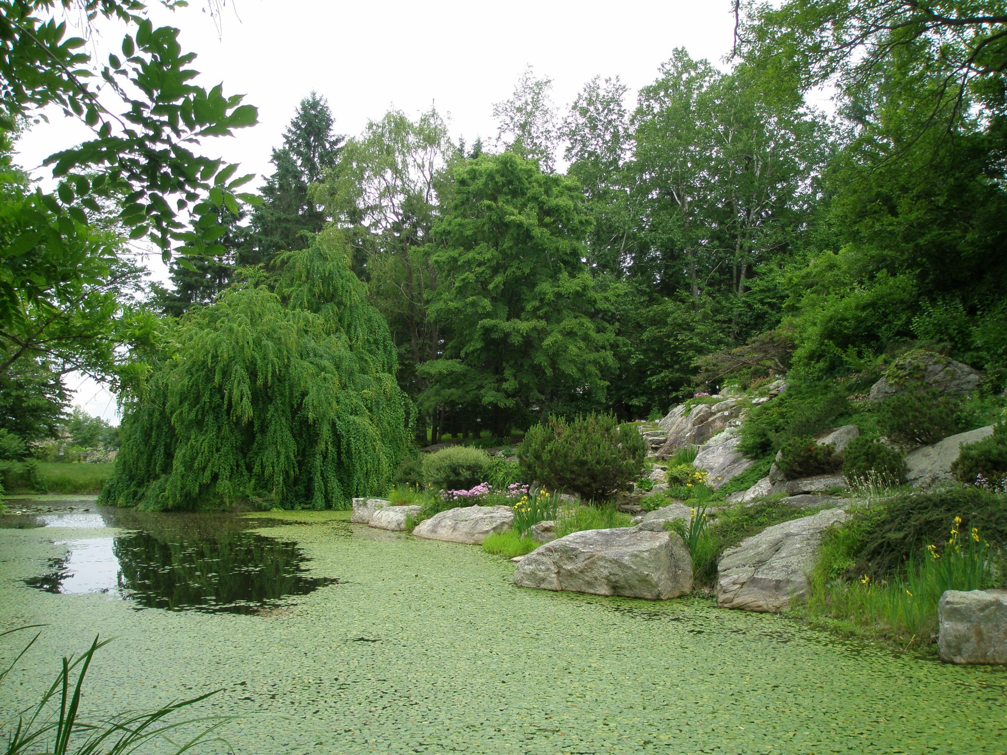 The Lake and Rock Ledge Garden