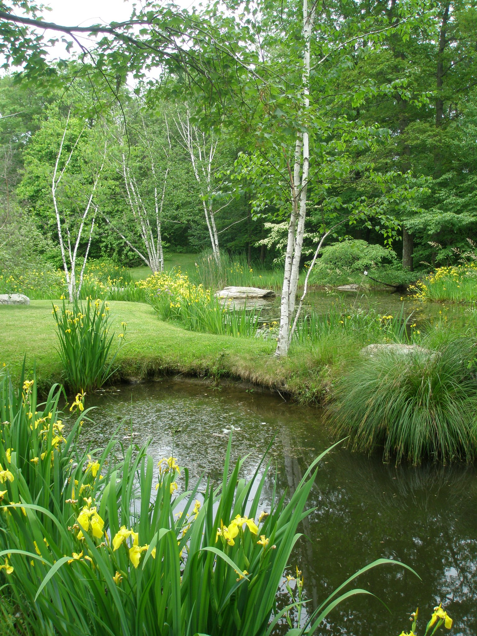 Pond Garden