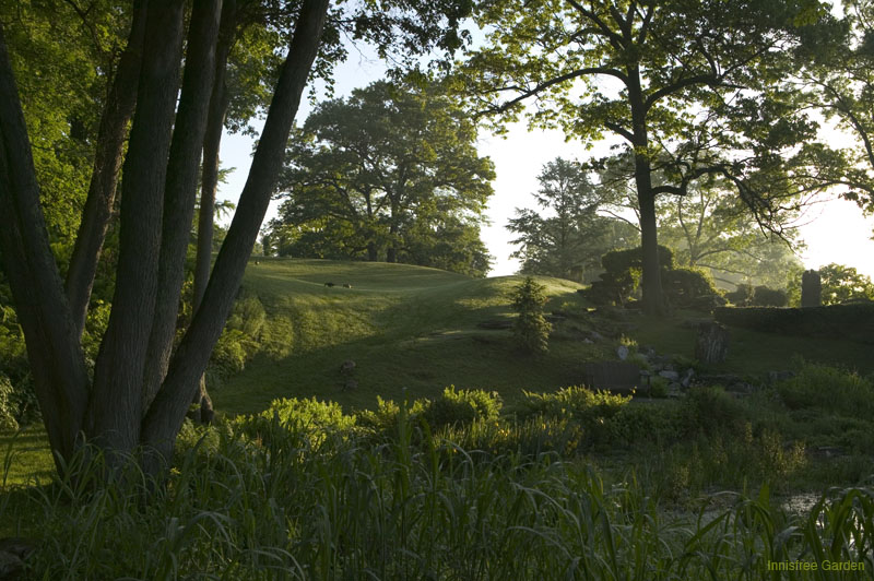 South Lawn, in early morning light. Image courtesy of the Innisfree Foundation.