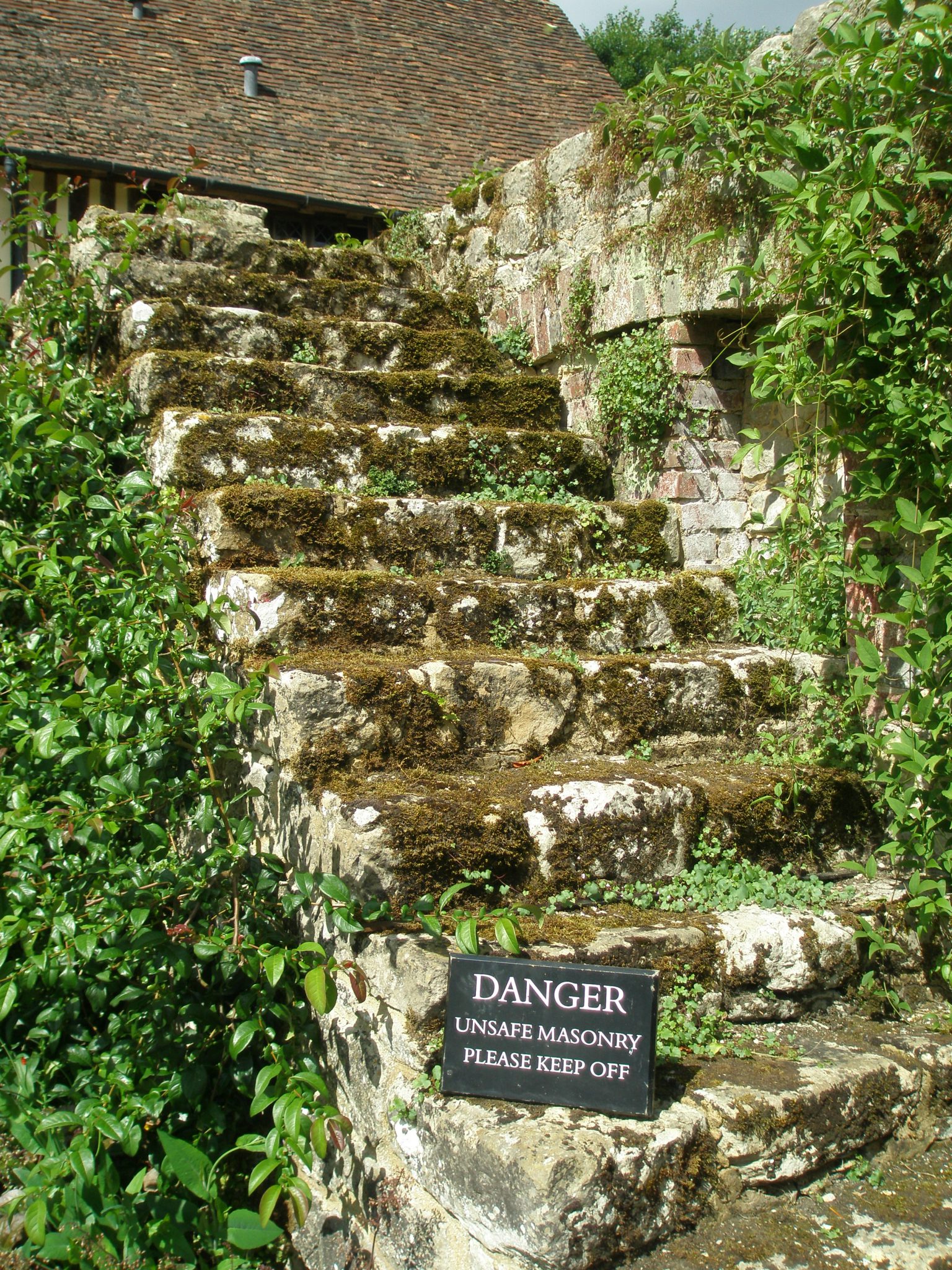 Ancient Steps in the Cuttings Garden