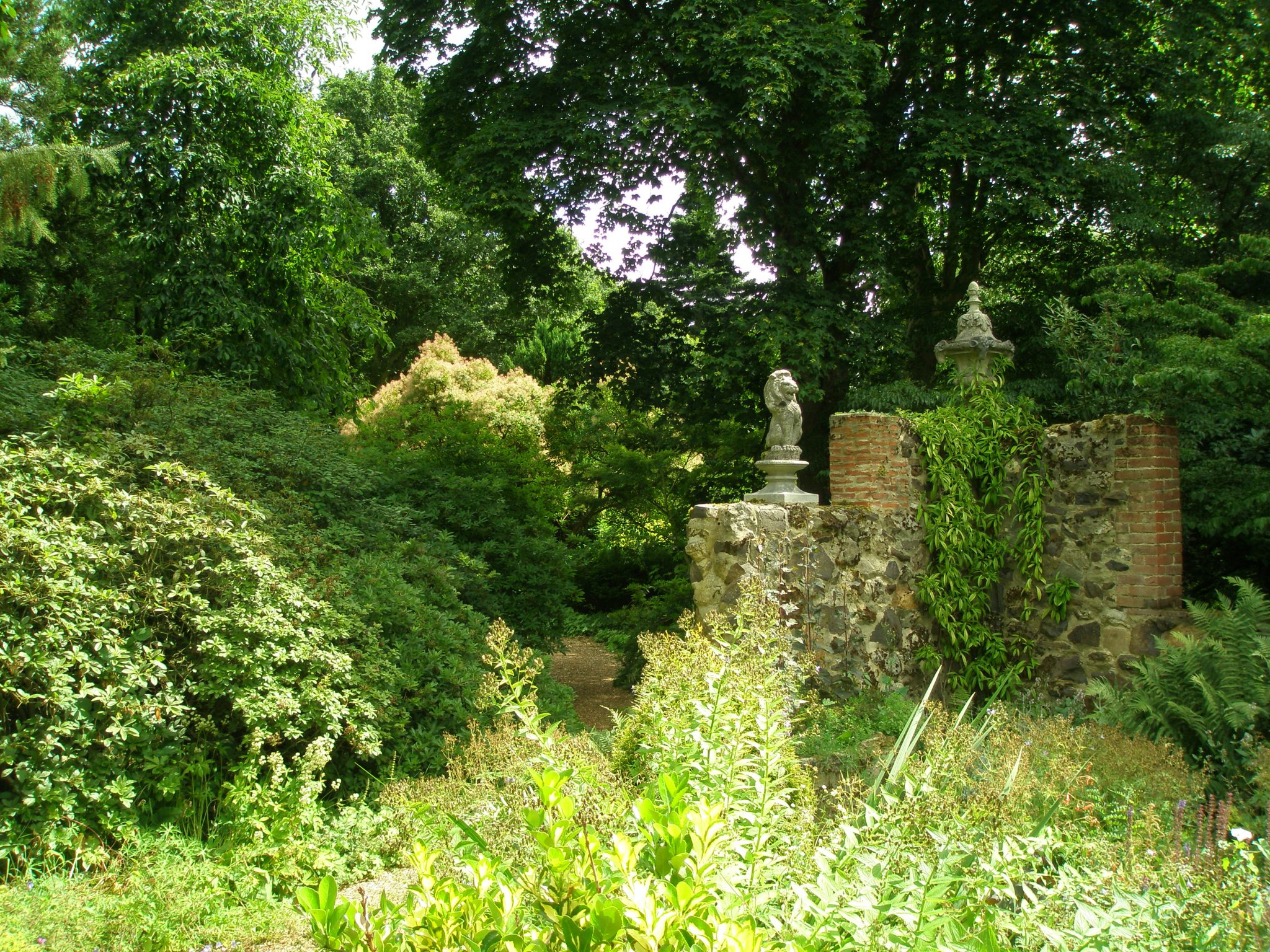 Woodlands behind the Italian Garden. The two acres on the eastern edge of the garden were purchased in 1962.