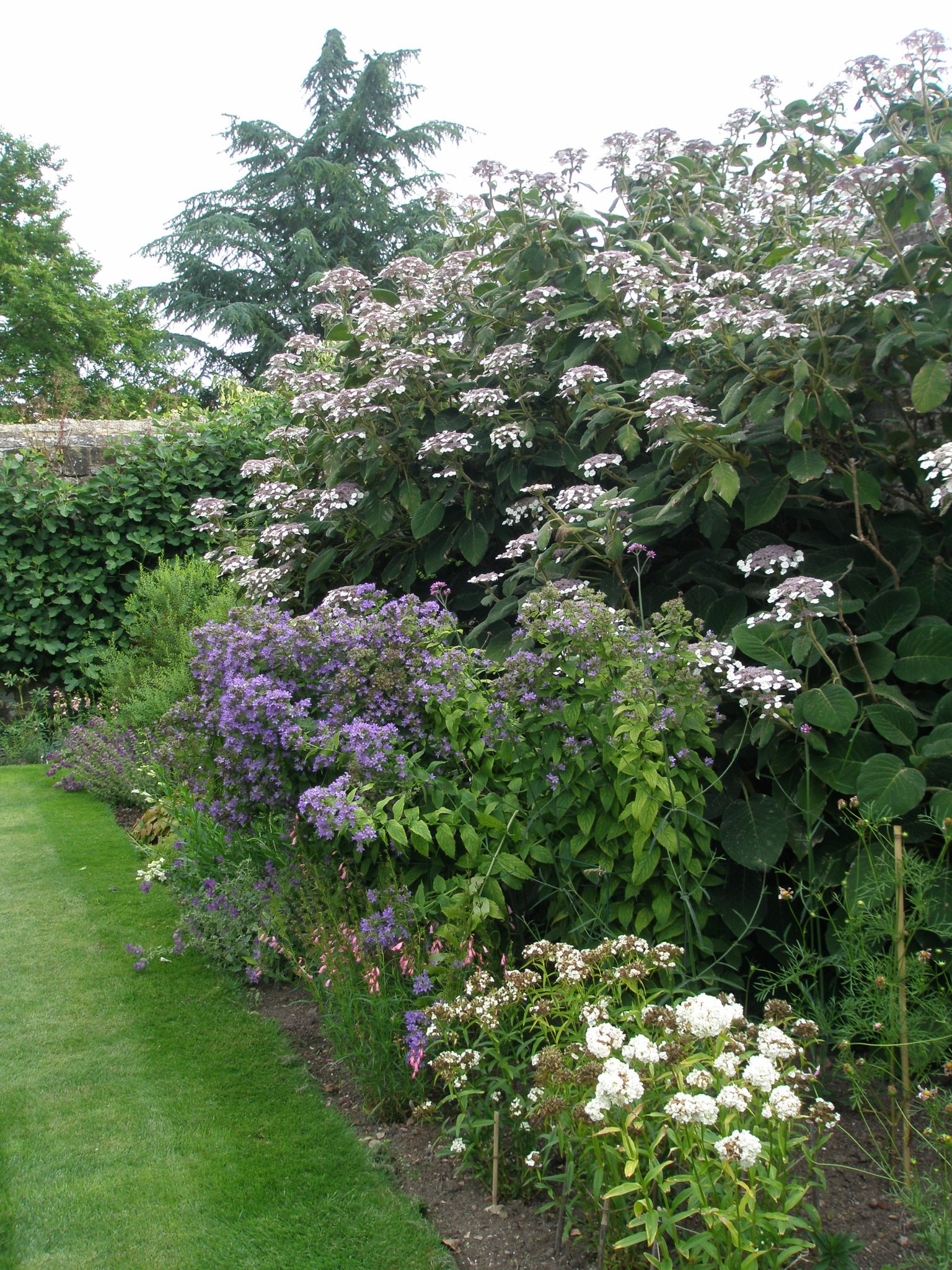 Mixed Borders of plants with pastel blossoms hug the inner perimeters of Lady Churchill's Rose Garden.