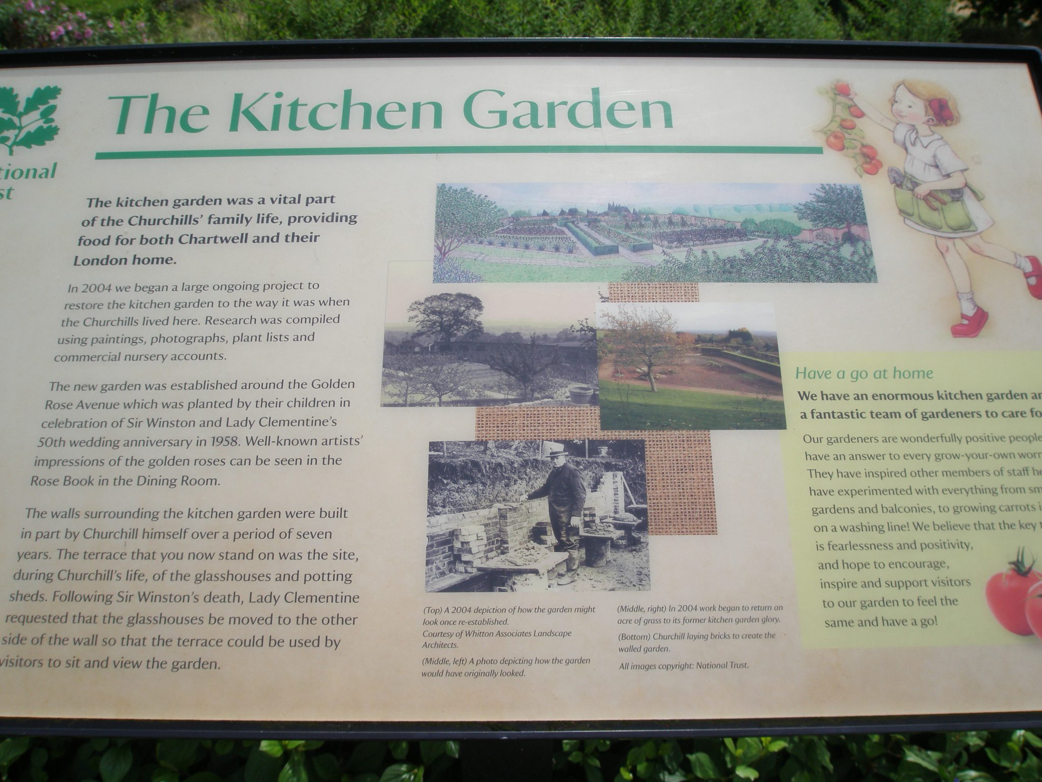 The extensive Kitchen Gardens surround the Golden Rose Avenue