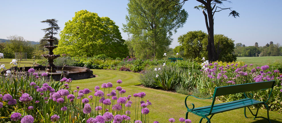 Alliums adorn the Lower Terrace, in early June. Image courtesy of Titsey Place & Gardens