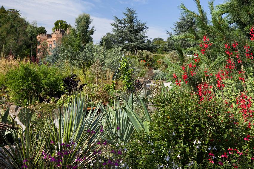 A broad view over The World Garden. The original, Tudor walls of the Manor House's east side are visible in the background. Image courtesy of The World Garden.