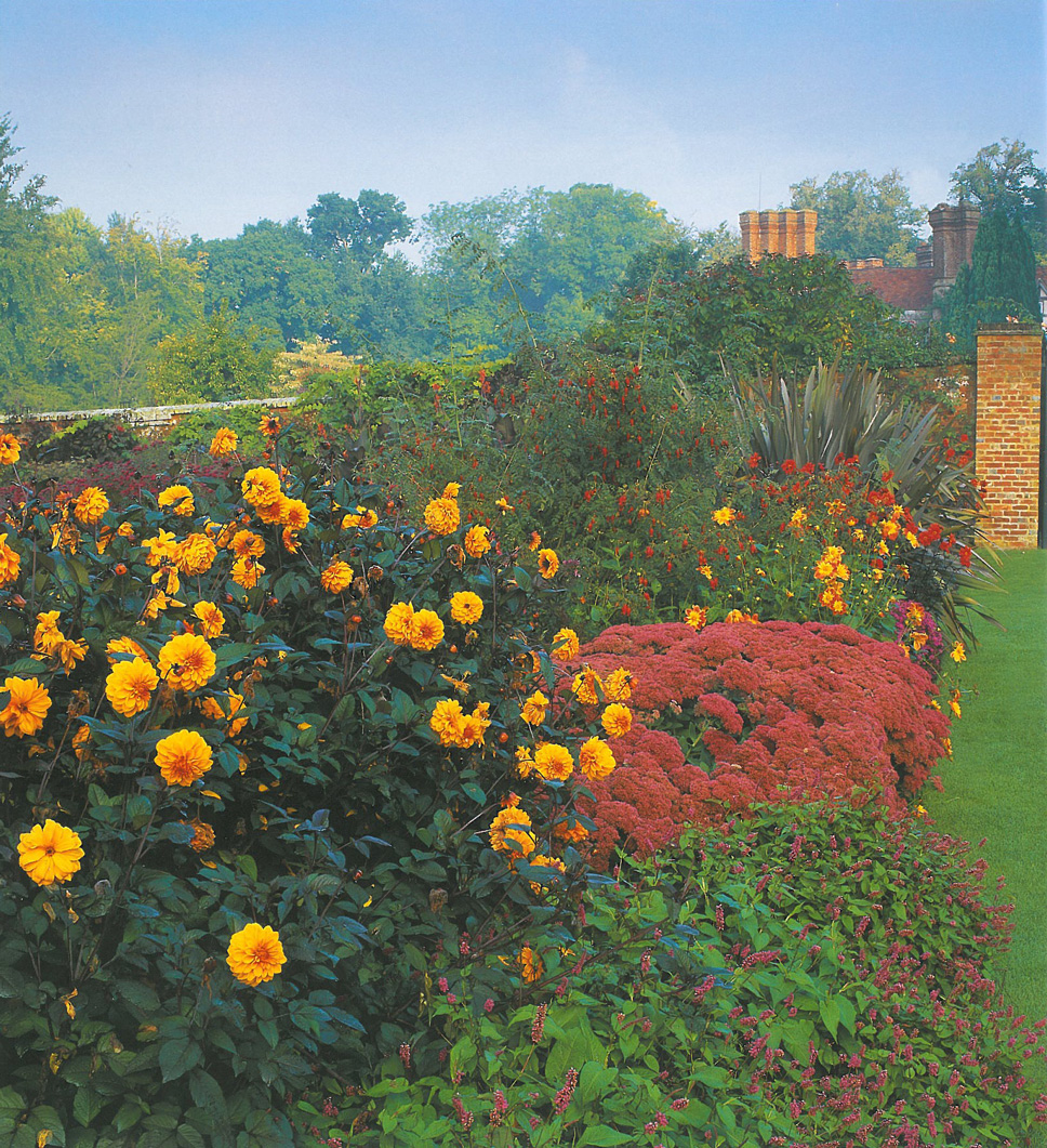 Another view of the Hot Gardens, in the Herbaceous Border section of the Garden. Image courtesy of Pashley Manor.