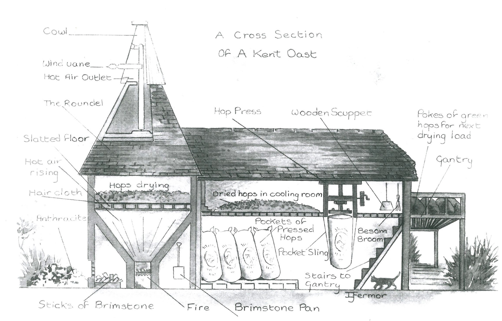 A Cross-Section of a Kent Oast. Image courtesy of Hopping Down in Kent.