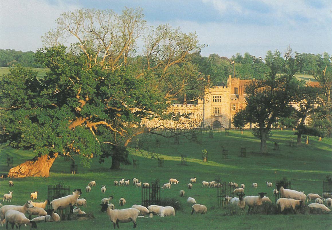 Sheep Heaven at Penshurst Place. It's impossible for me to NOT get excited, every time I see an English field full of these creatures. At the end of our 5 days of touring, Steve Parry gave me a book titled KNOW YOUR SHEEP. I confess I haven't yet memorized its contents, but someday, when I do indeed Know My Sheep, you'll have to endure a travel article about nothing BUT the many varieties of sheep in England! Image courtesy of Penshurst Place.