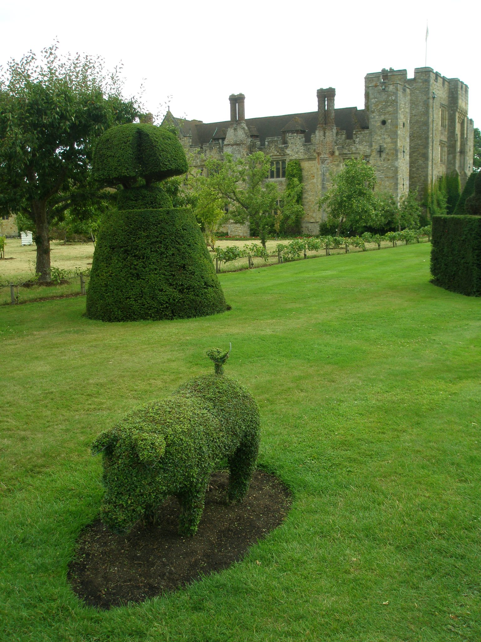 Topiary Piglet