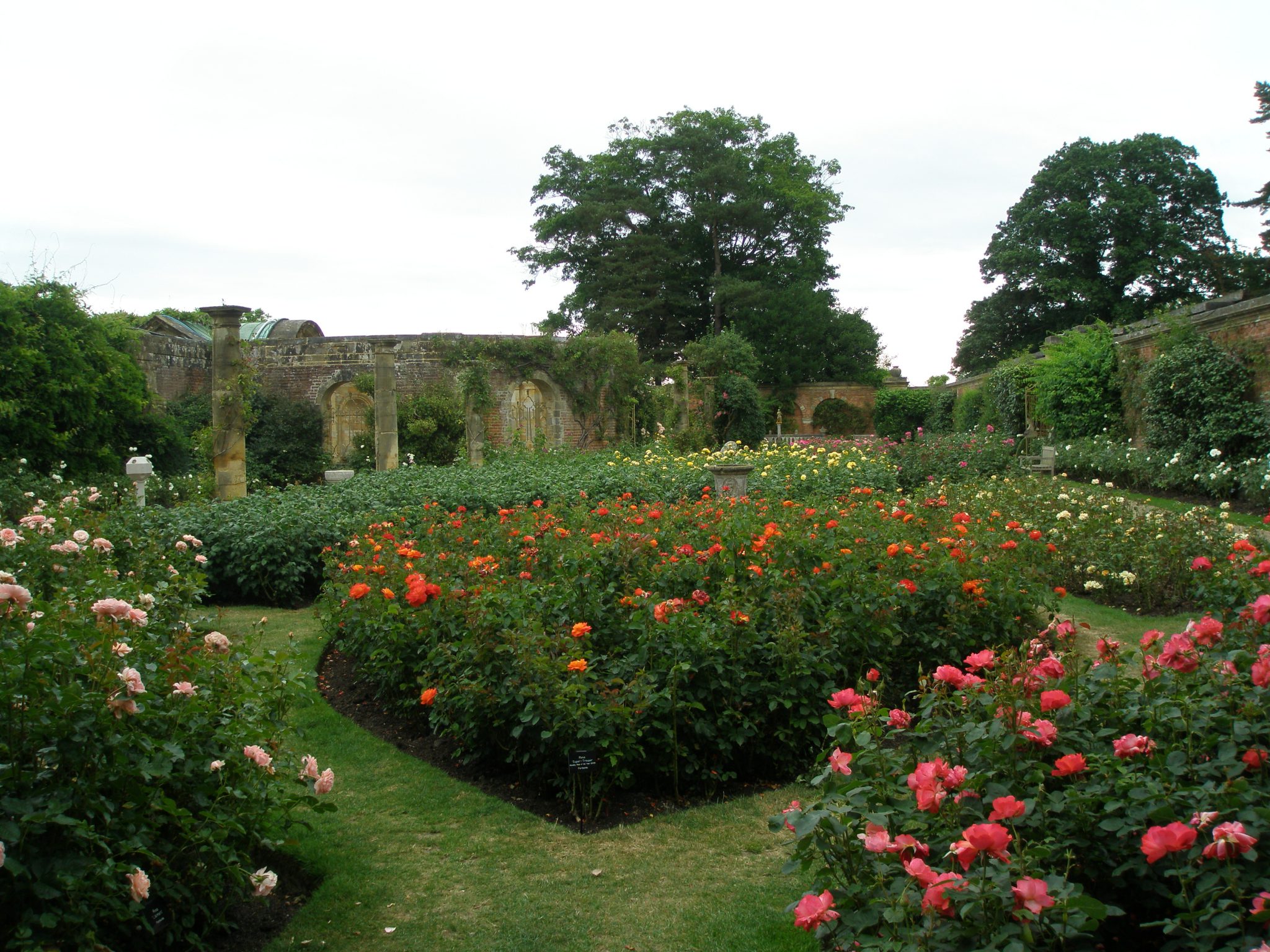 Astor's extensive Rose Gardens are on the southeastern side of the Italian Garden