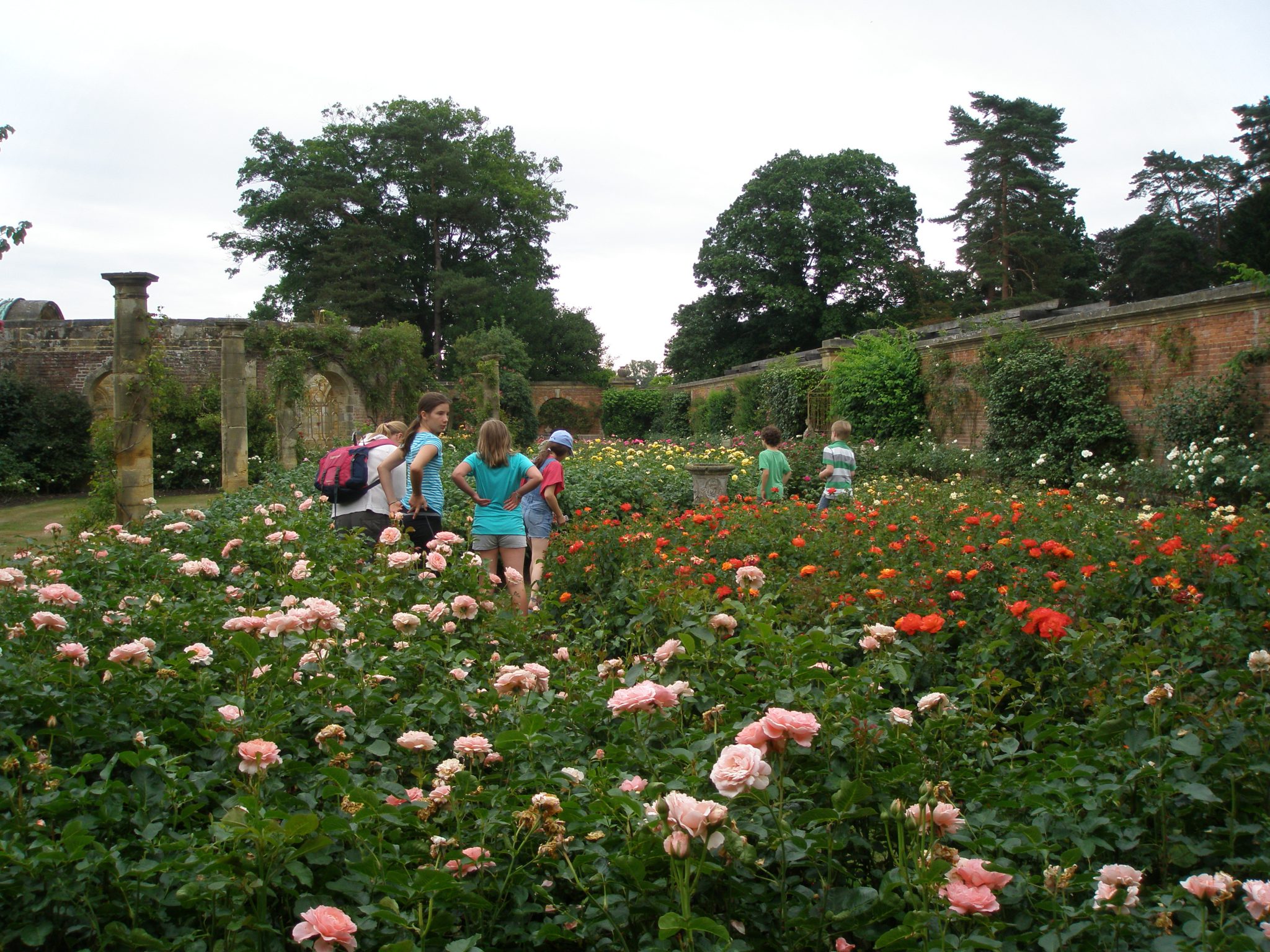 Astor's Rose Gardens contain over 4000 bushes...in a for a penny, in for a pound.
