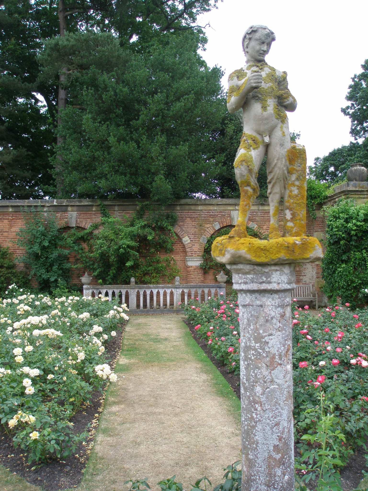 A Rose Garden Satyr