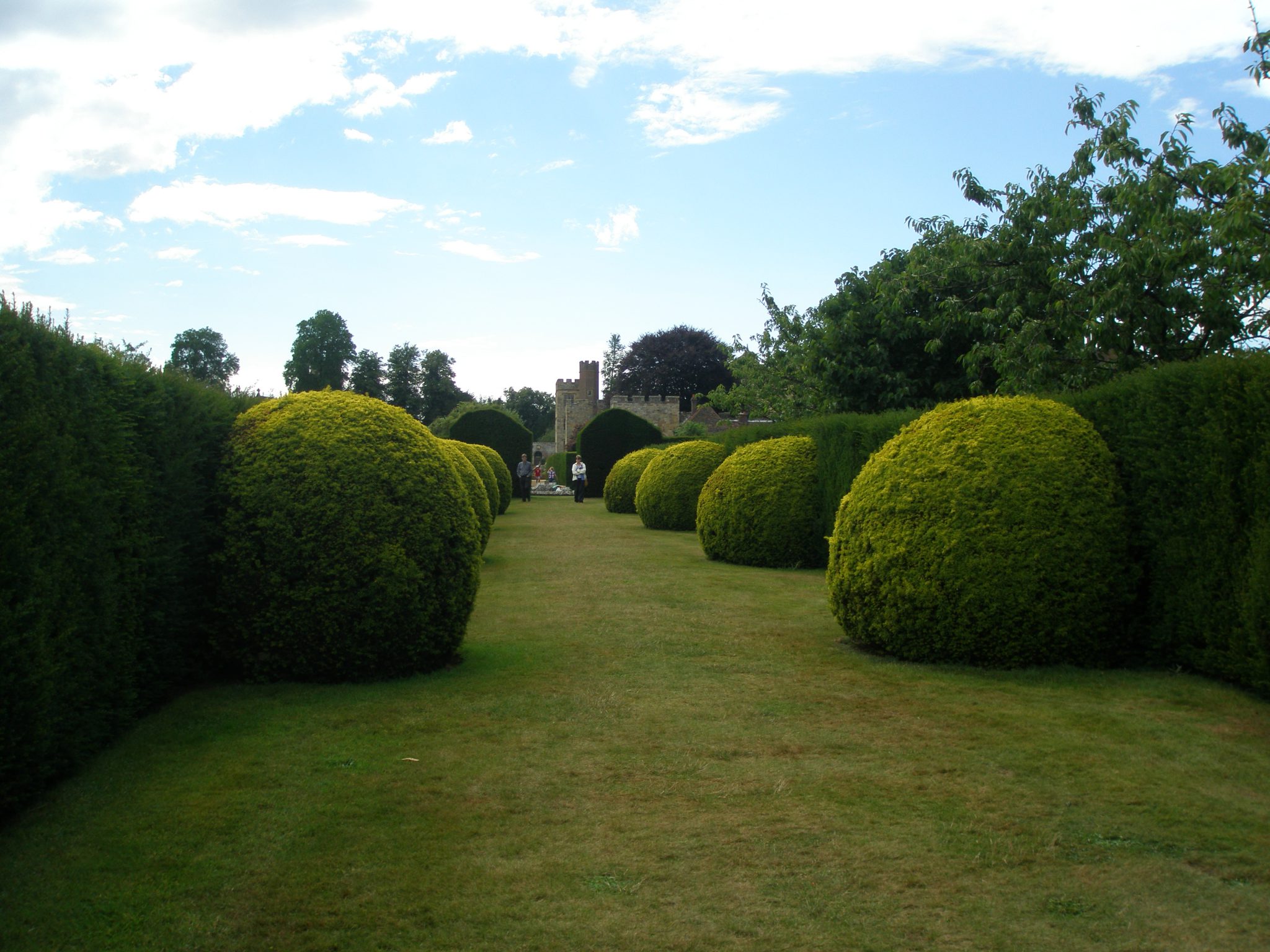 An other-worldly and perfectly-pruned corridor of large globes of Irish Yew, and Hedges, with a glimpse of the House.