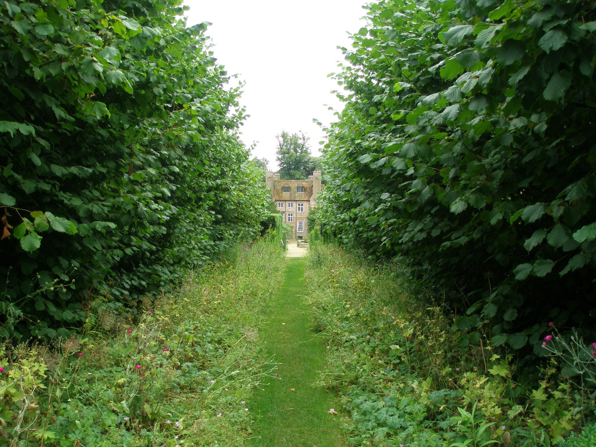 The Narrow Path that separates the Drunken Garden from the Oriental Garden. The House is in the distance.