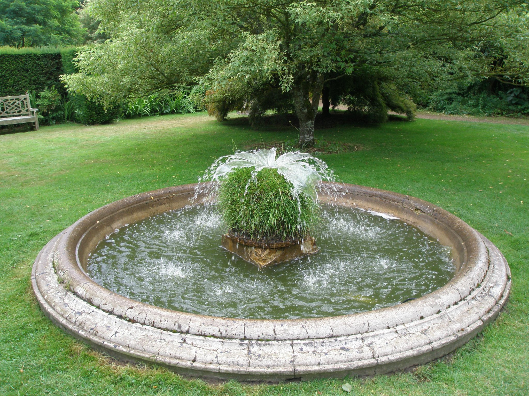 The Oriental Garden is centered upon a pool, with an unusual grass fountain.