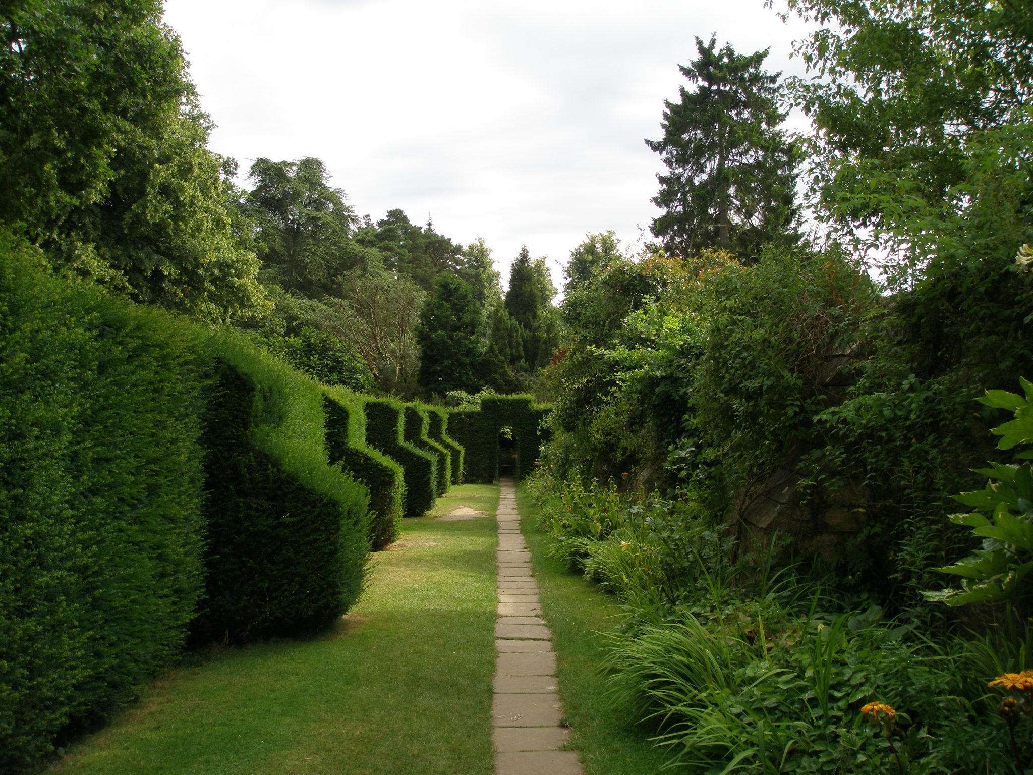 Topiary Buttresses along Paradise Walk