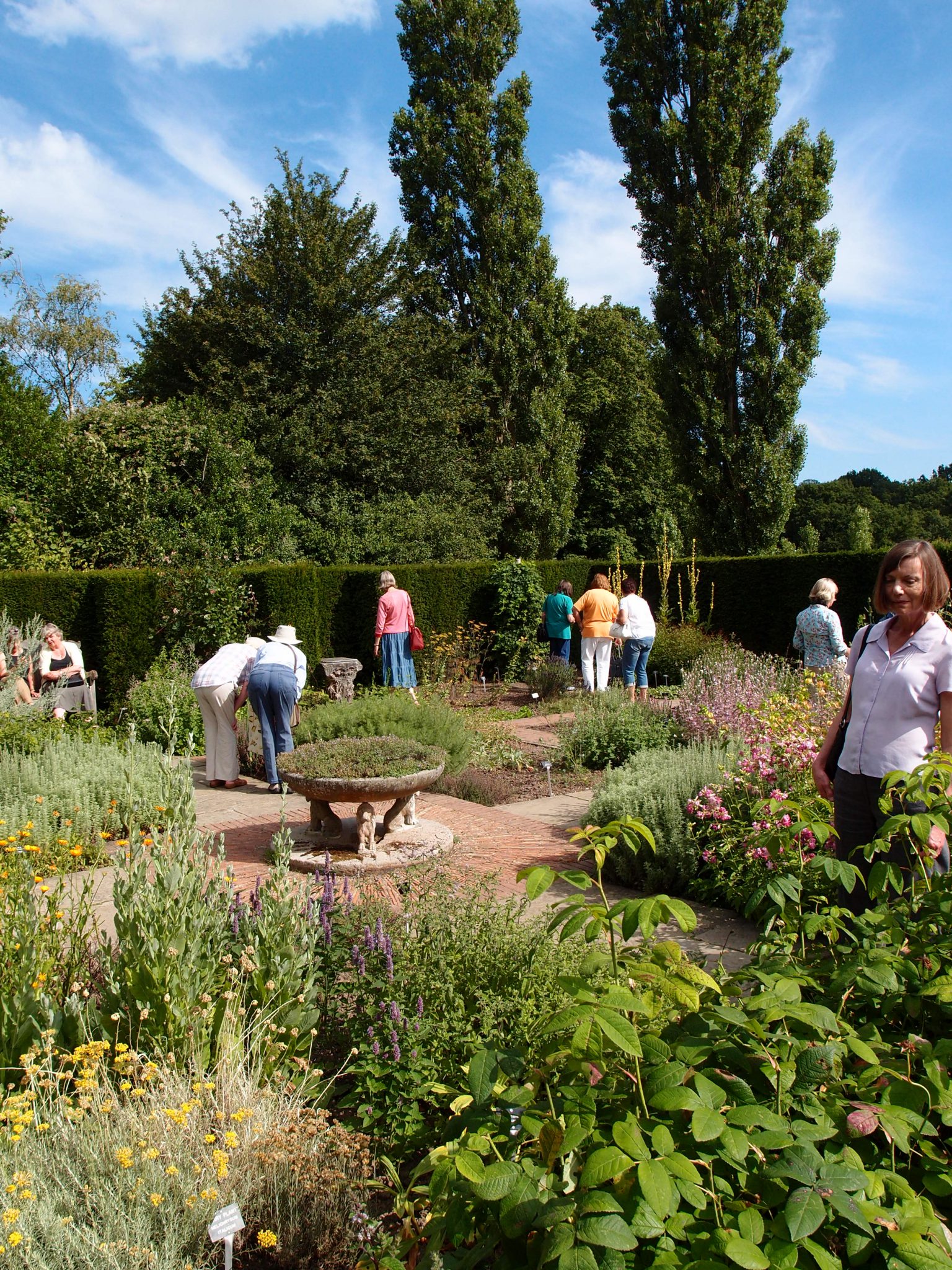 The modestly-sized Herb Garden, which contains 160 different varieties of herbs.