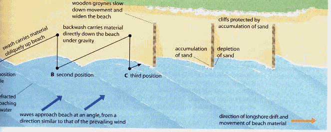 How Groynes Work to control beach erosion
