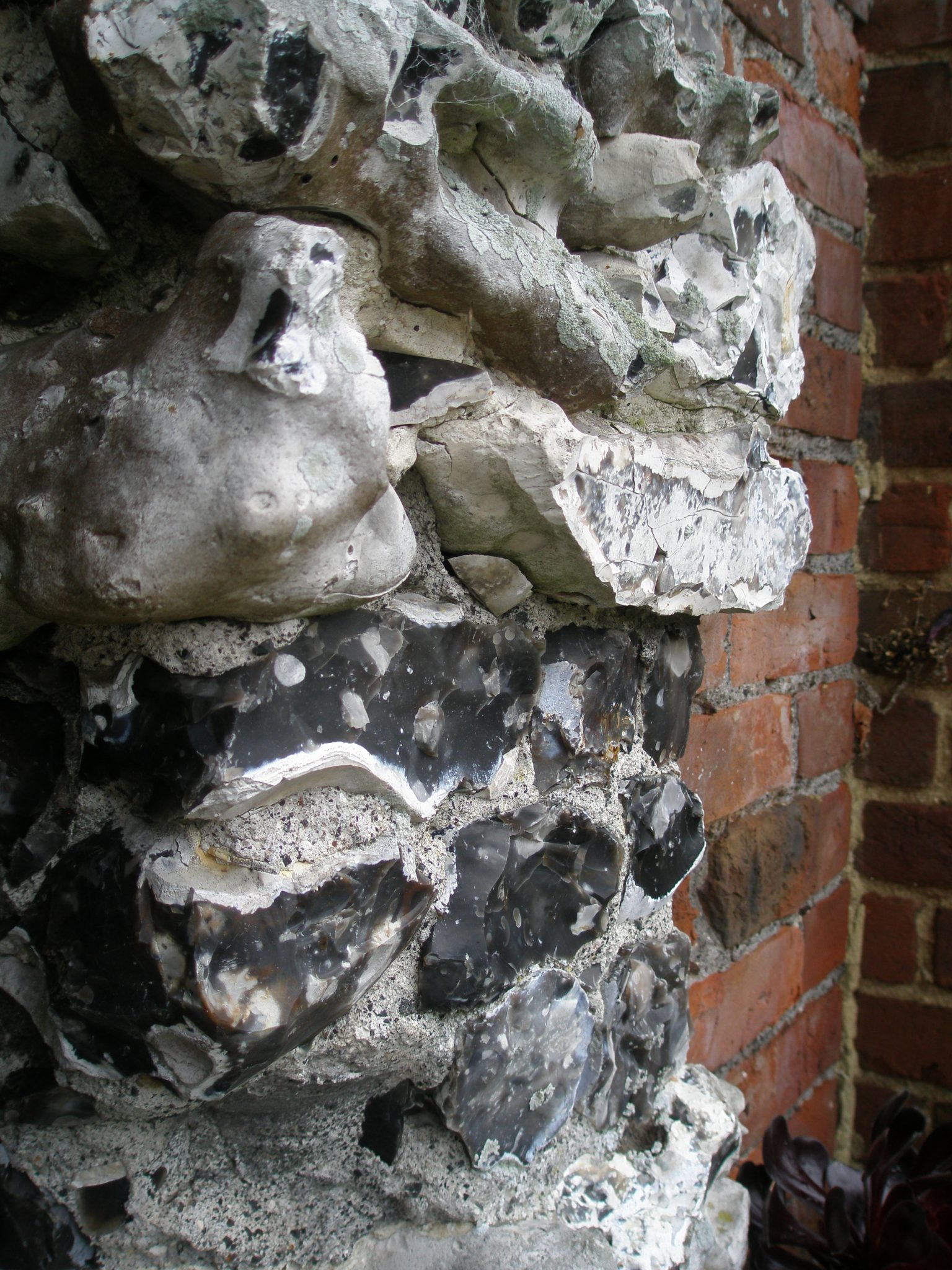 Now I'm Nose-Close, to the amazing split-flint on the Walled Garden archway.