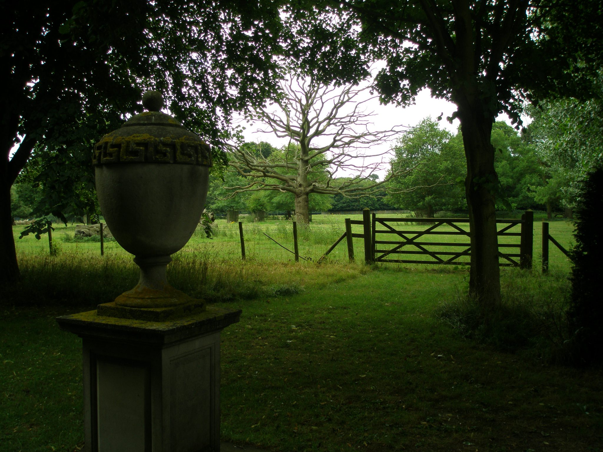 The Urn, at the far end of the Avenue of Lime Trees, with pastureland beyond the fence.