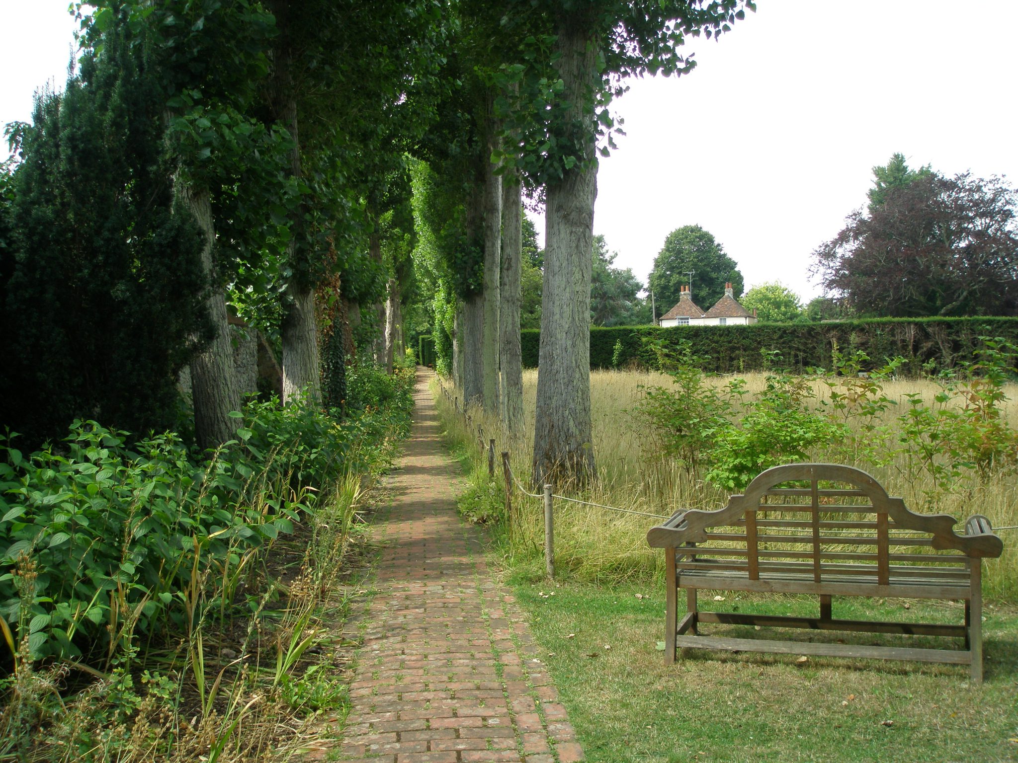 A WIDE view of the Poplar Walk, with one of Lutyen's omni-present teak benches.