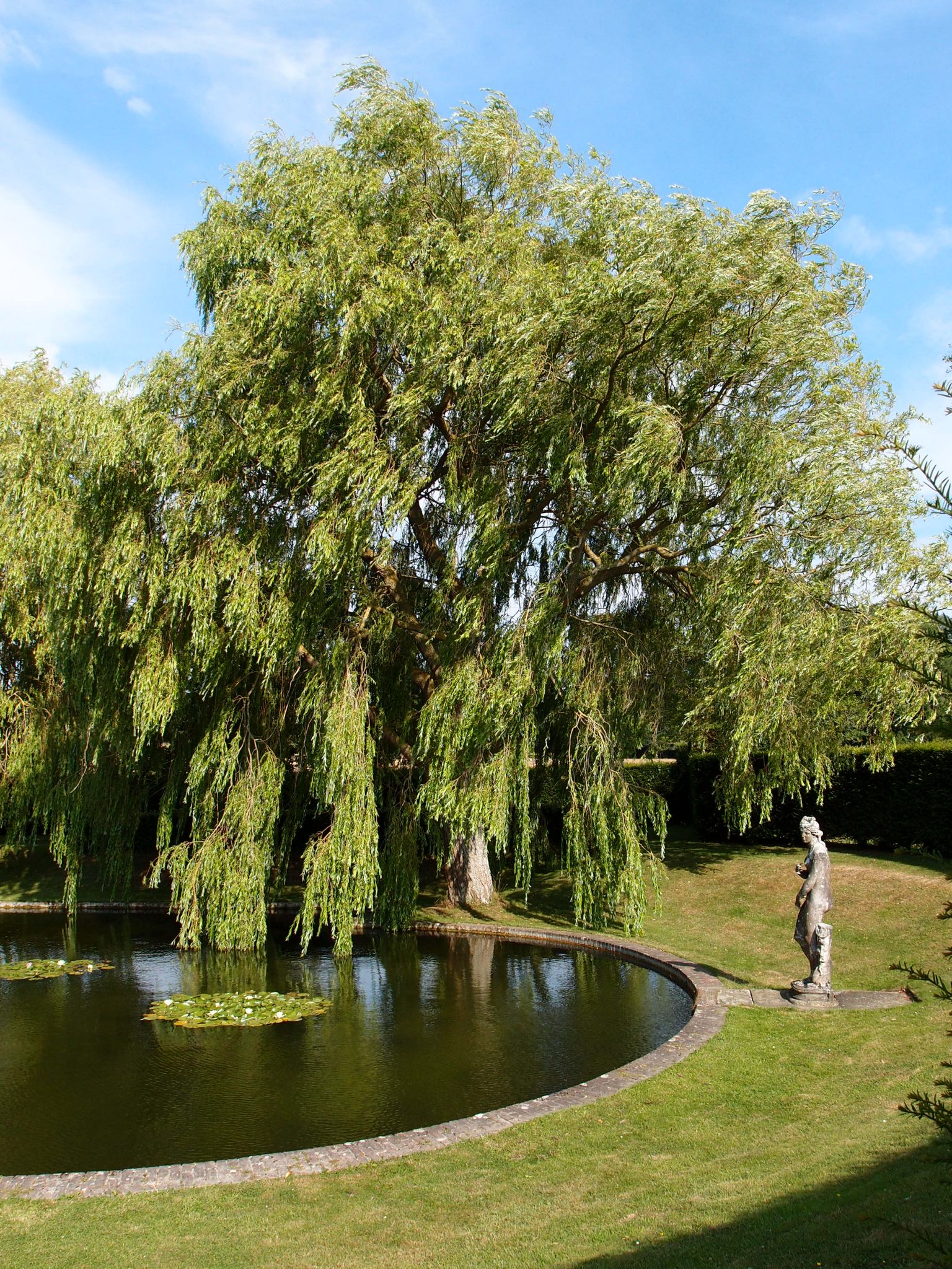 A classical statue stands at the southern-most curve of the Lily Pond
