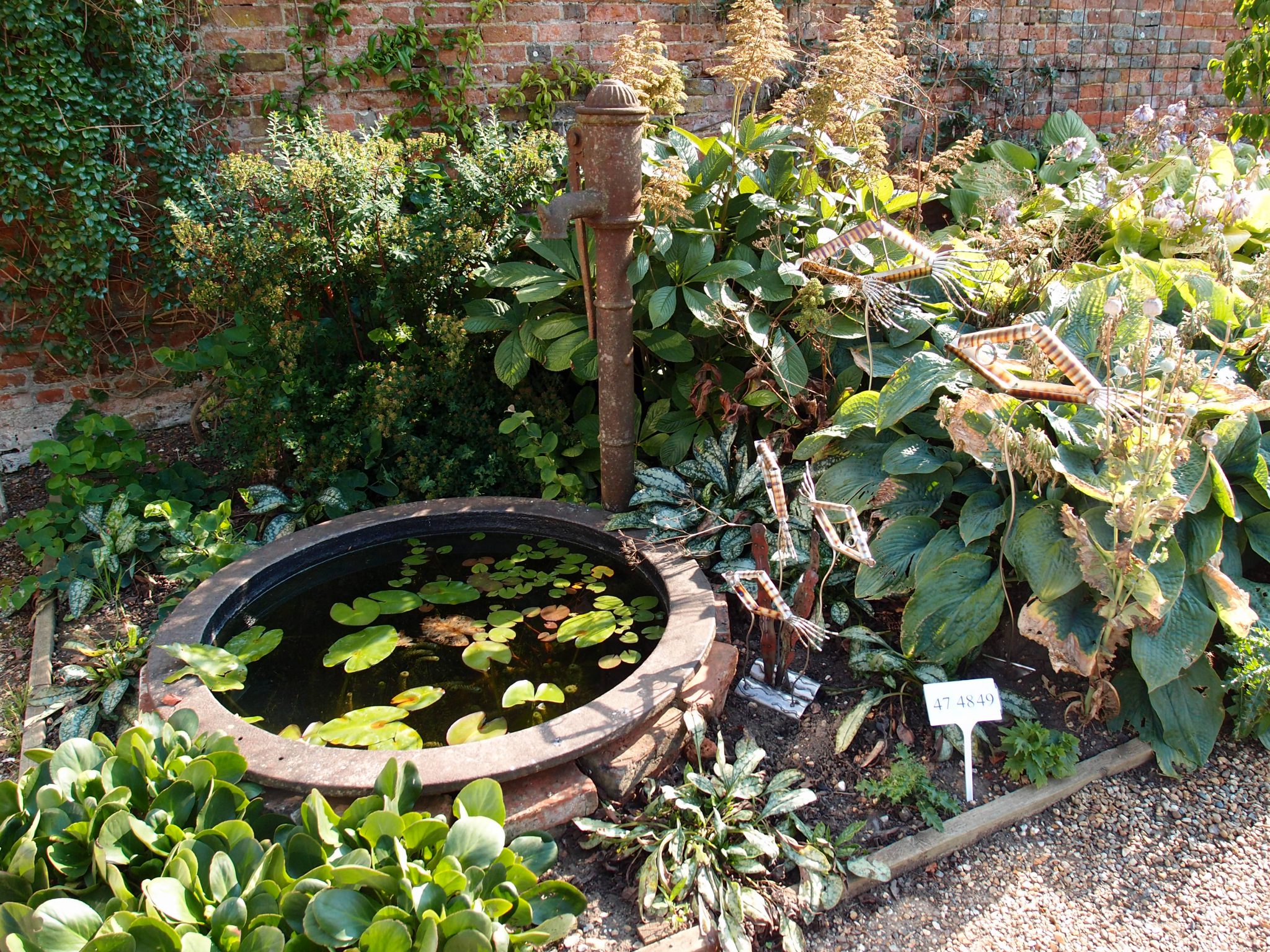 An old pump, and small lily pool, by the south wall 