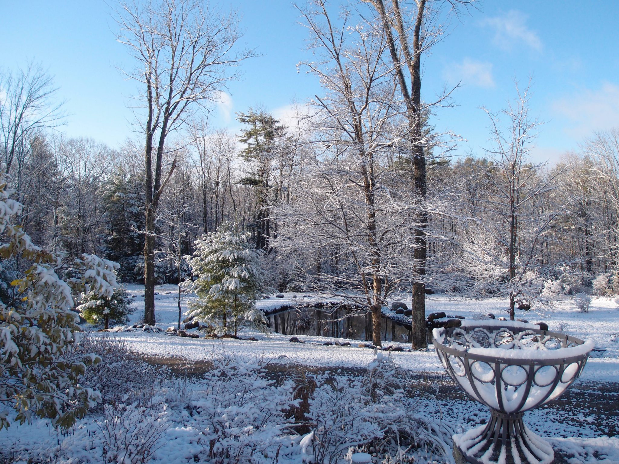 My New Hampshire meadow & pond, on Nov. 14, 2014. This has now given me incentive to write about Warmer Places.