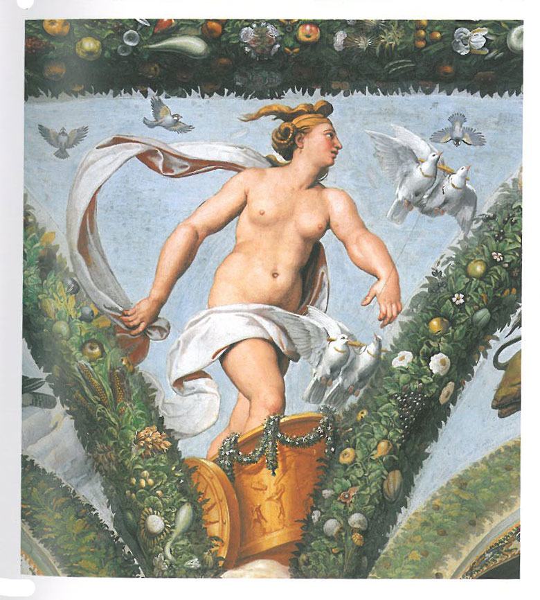Another spandrel, in the Loggia of Cupid & Psyche. Image courtesy of LA VILLA FARNESINA A ROMA, published by Franco Cosimo Panini.
