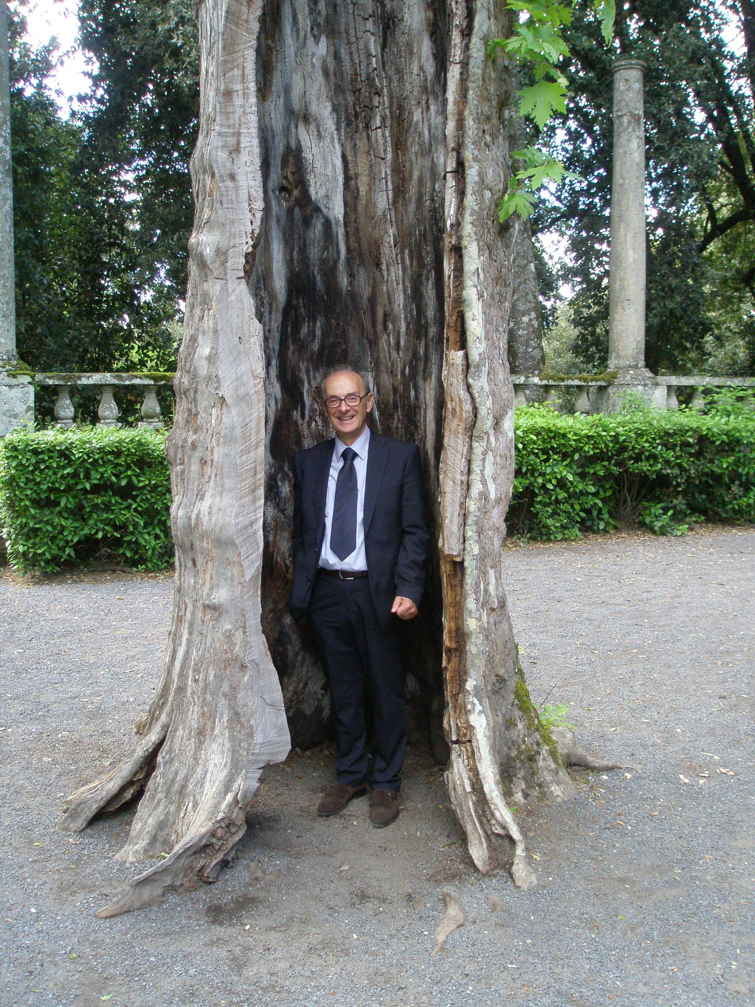 Our charming driver Anacleto: inside a hollow tree at the Fountain of the Deluge, in the gardens of Villa Lante, Bagnaia.