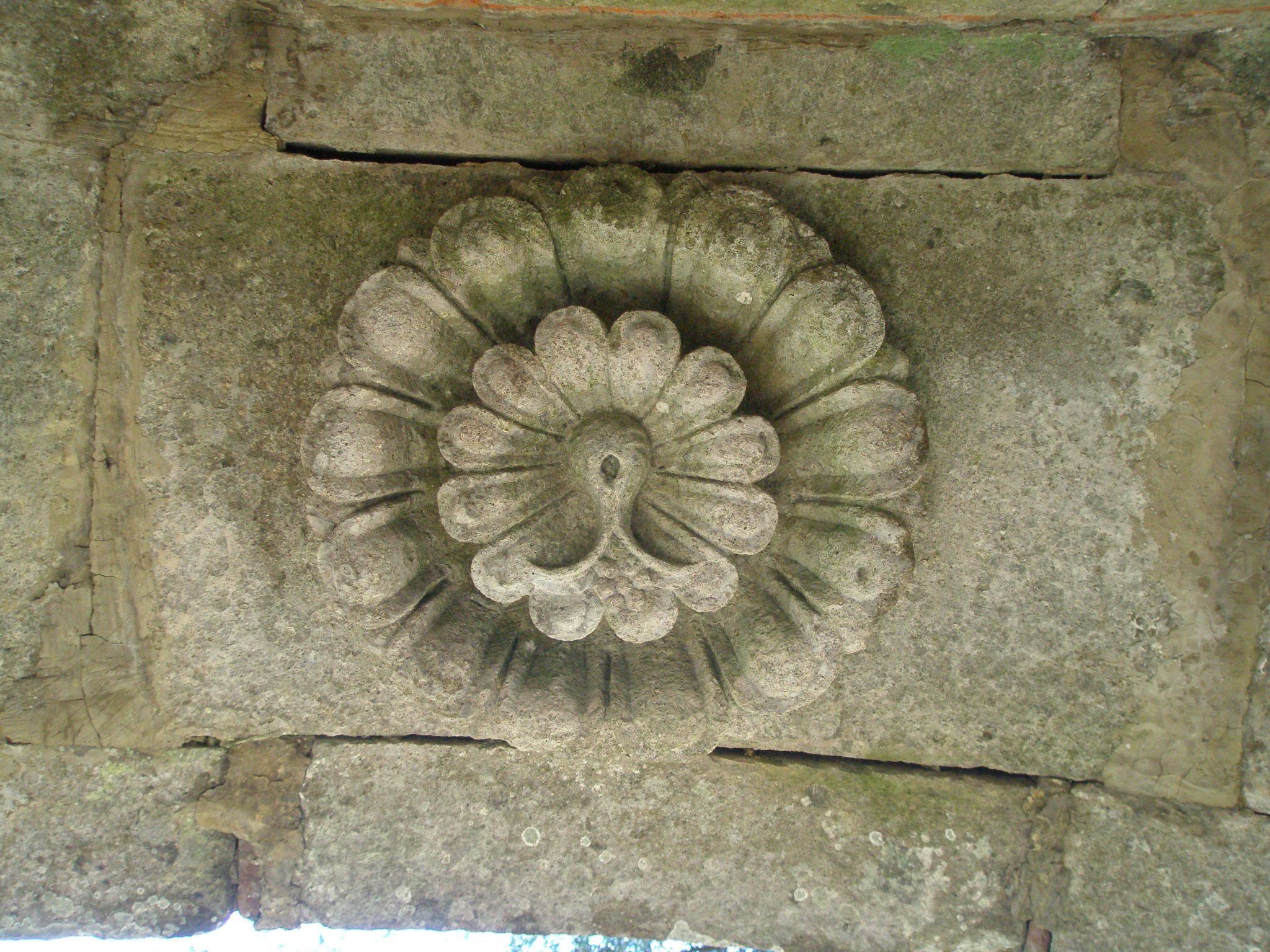 An Orsini Rose, carved into the ceiling of the Etruscan Bench