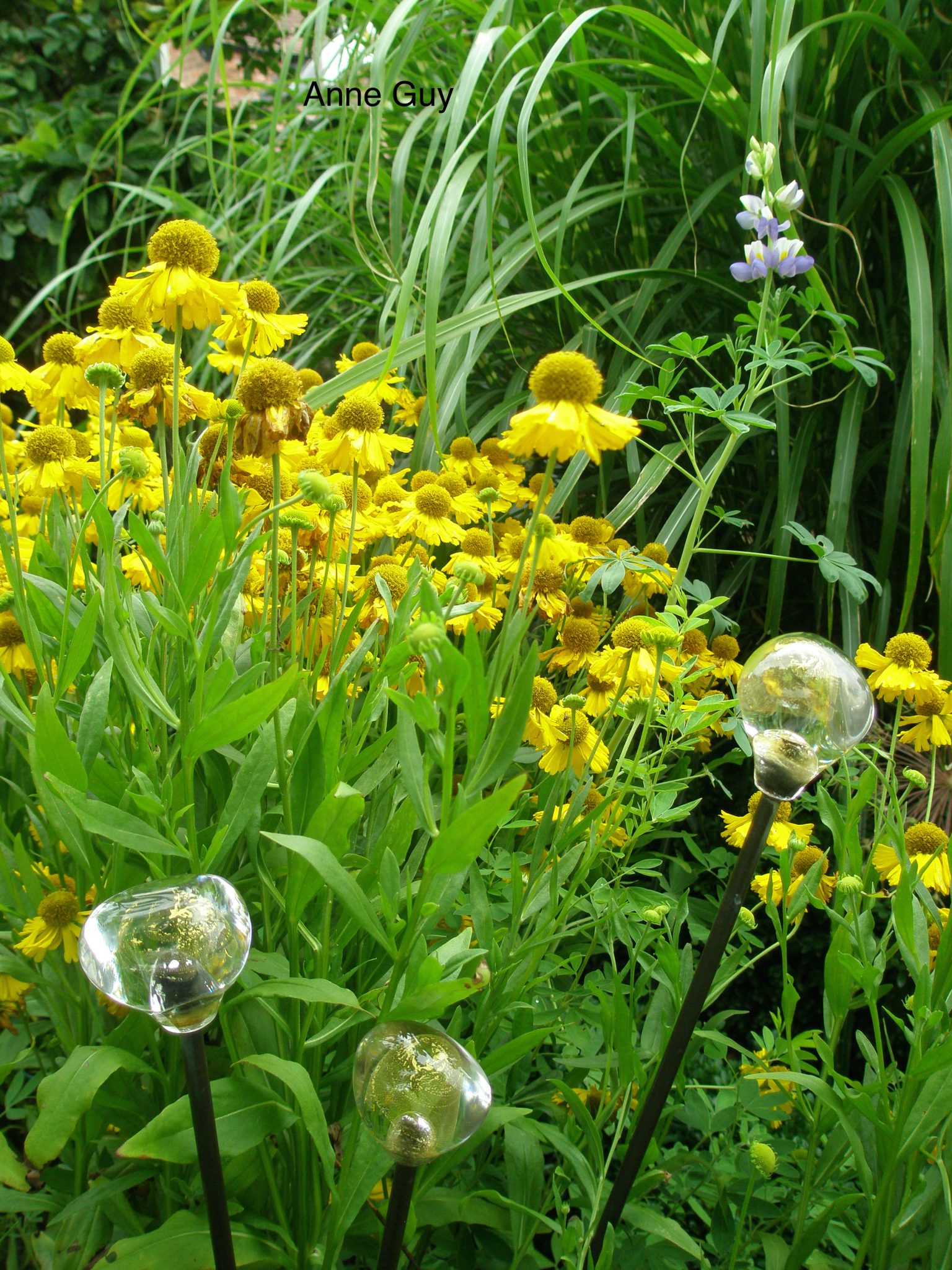 Hand-blown glass globes, on garden stakes