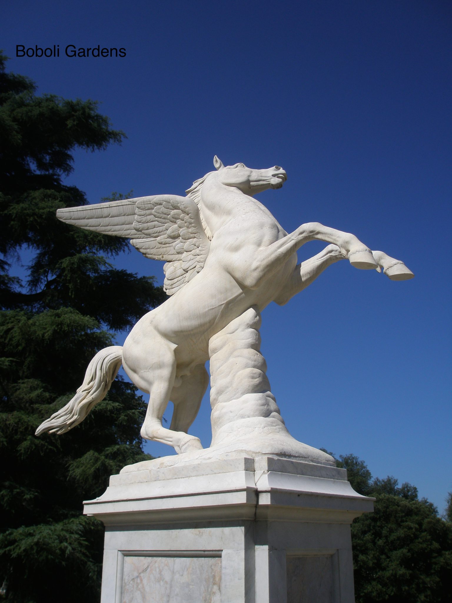 Pegasus, in the Boboli Gardens