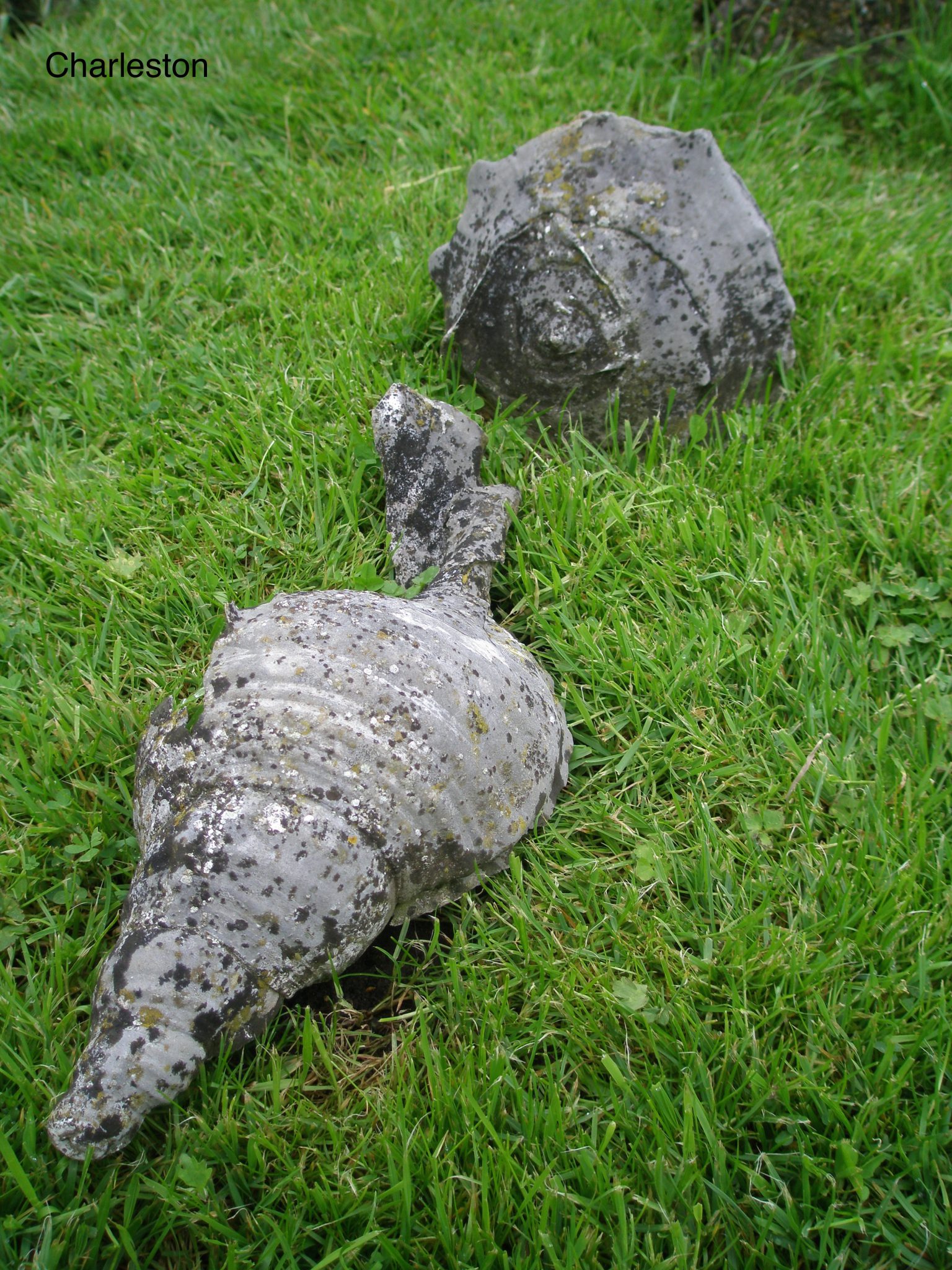 Detail of shell sculptures, near the pool in the Walled Garden