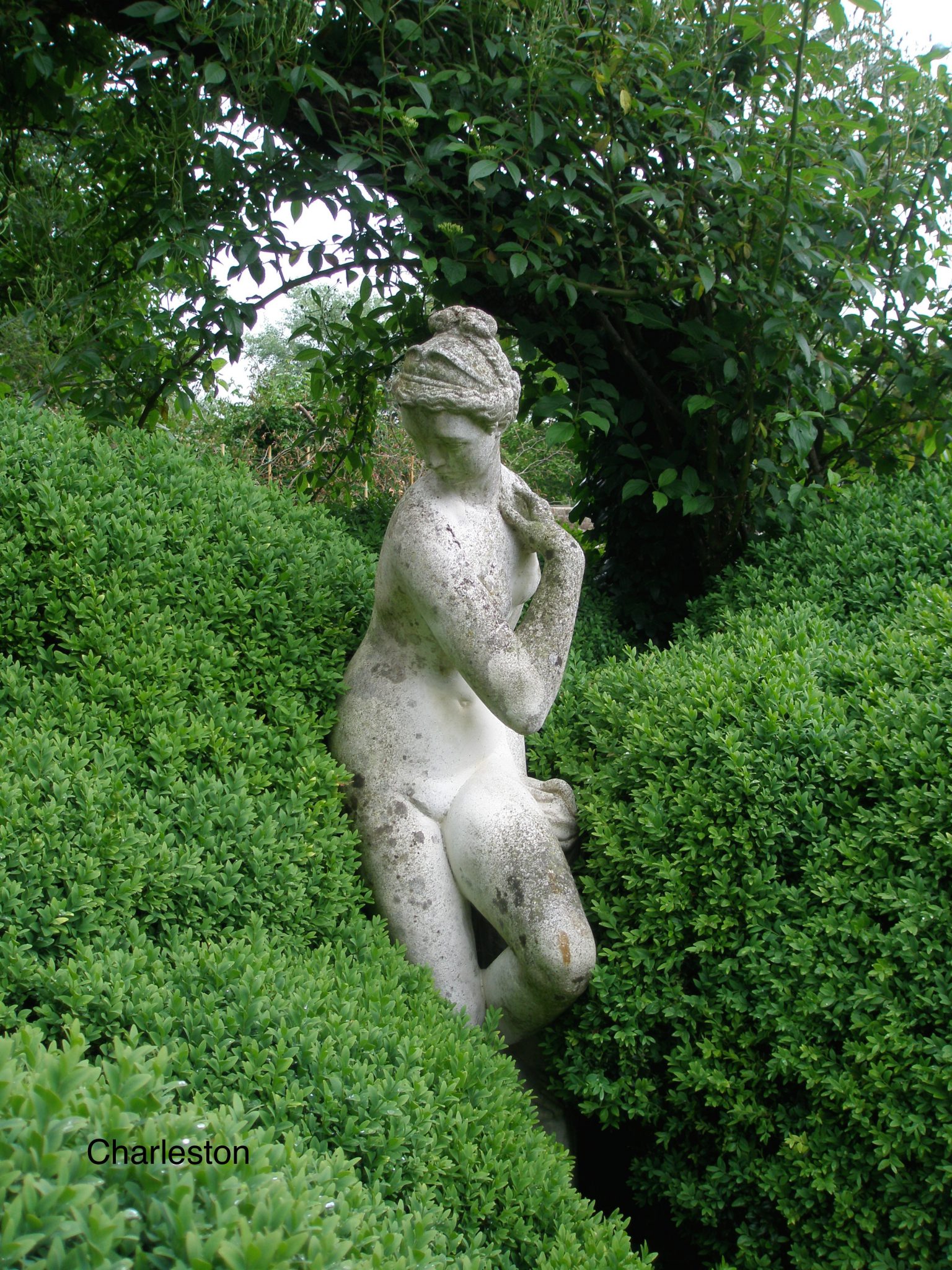 The Lady is tucked into the Drunken Hedge, which extends across the width of the Walled Garden. Drunken Hedges are in themselves a form of living sculpture. ( In a future Diary I'll show you more examples of Drunken Hedges. )