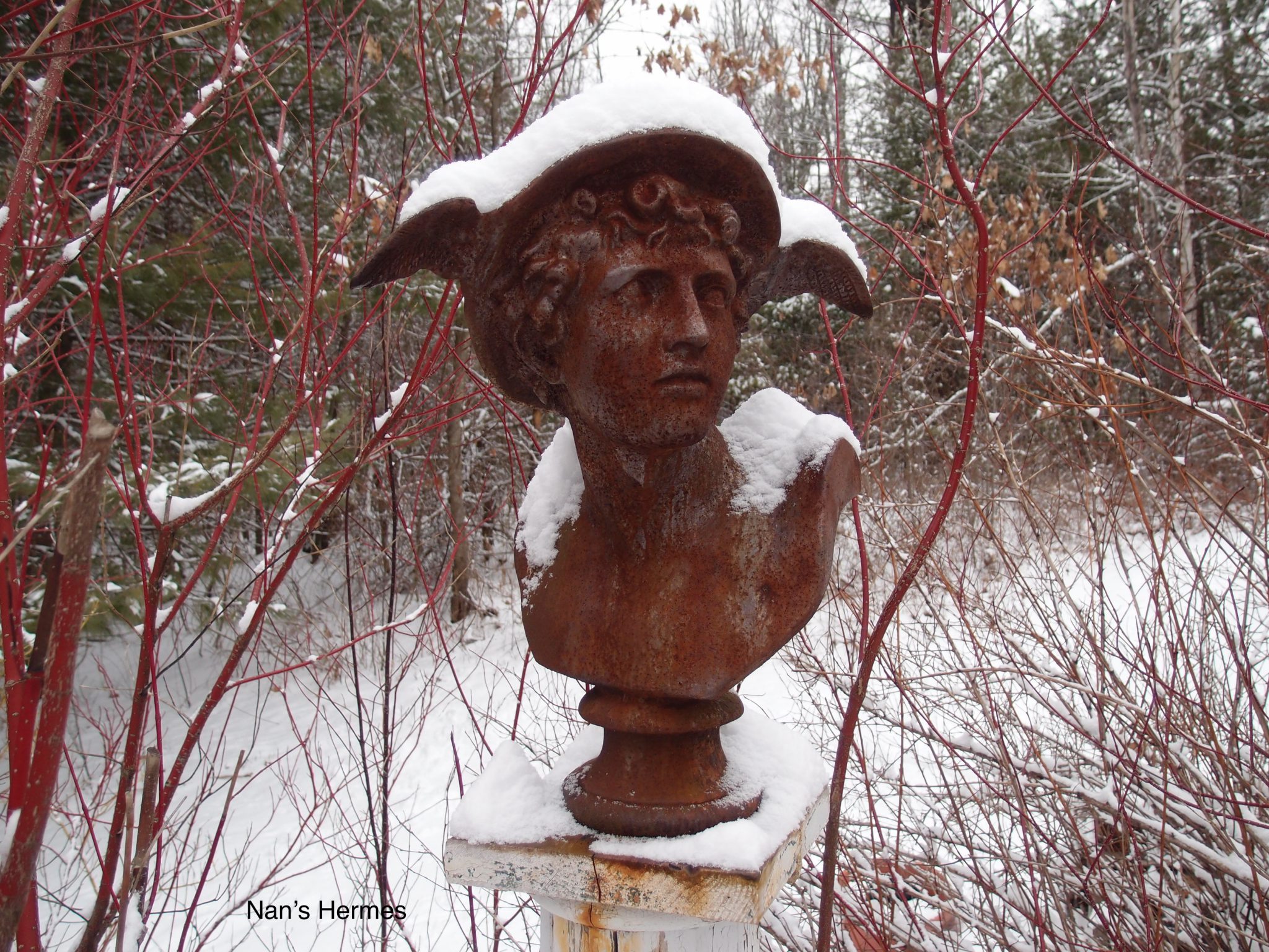 Here's my Hermes...enduring New Hampshire's endless Winter, without complaint.