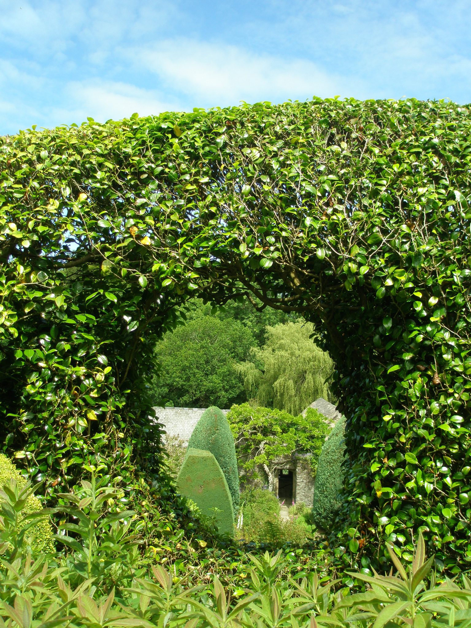 A Moon Window has been carved through the high hedge which separates the House from the Bowling Green Terrace