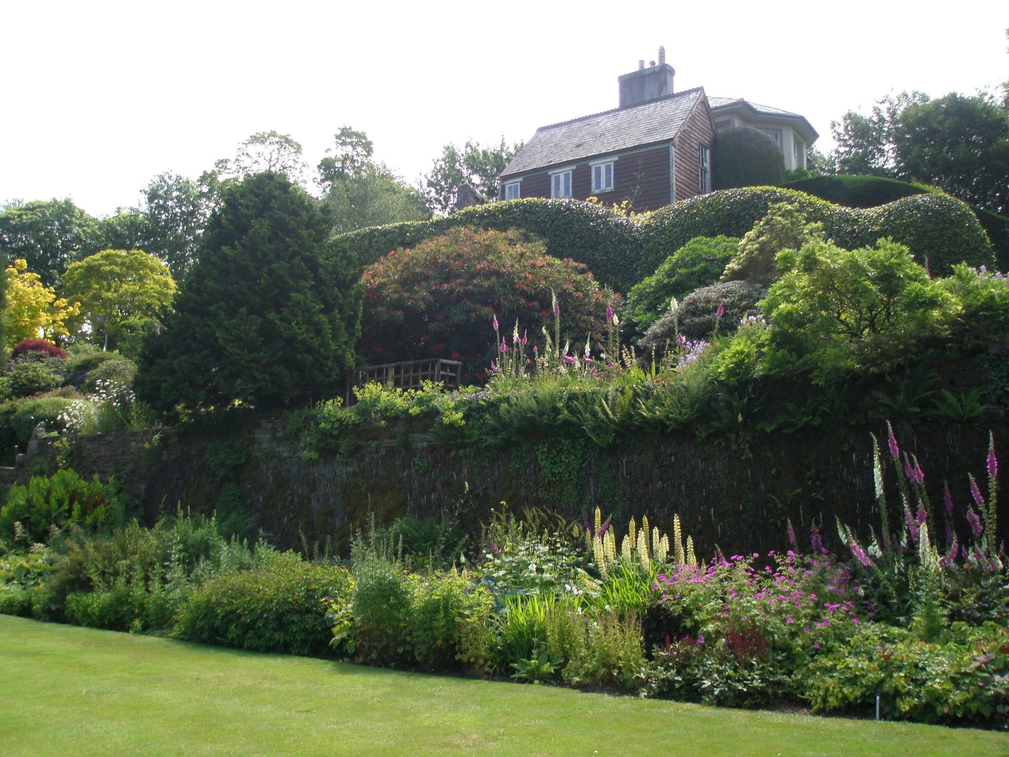 The Walled Garden's Tennis Court Lawn, with a view uphill, to the Main House. Foxgloves were in their full glory.